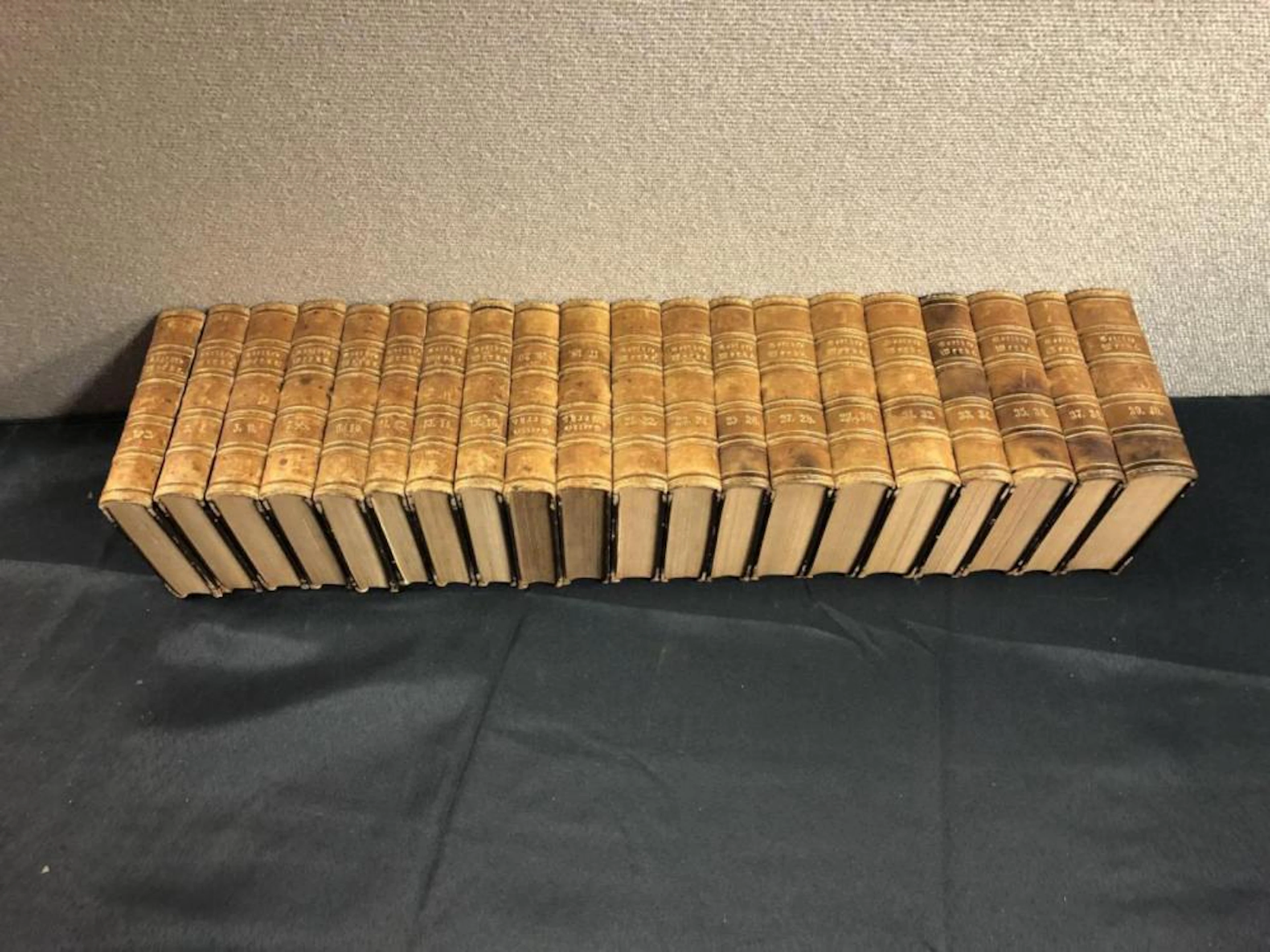 Antique Goethe's Sammtliche Werke Book Collection