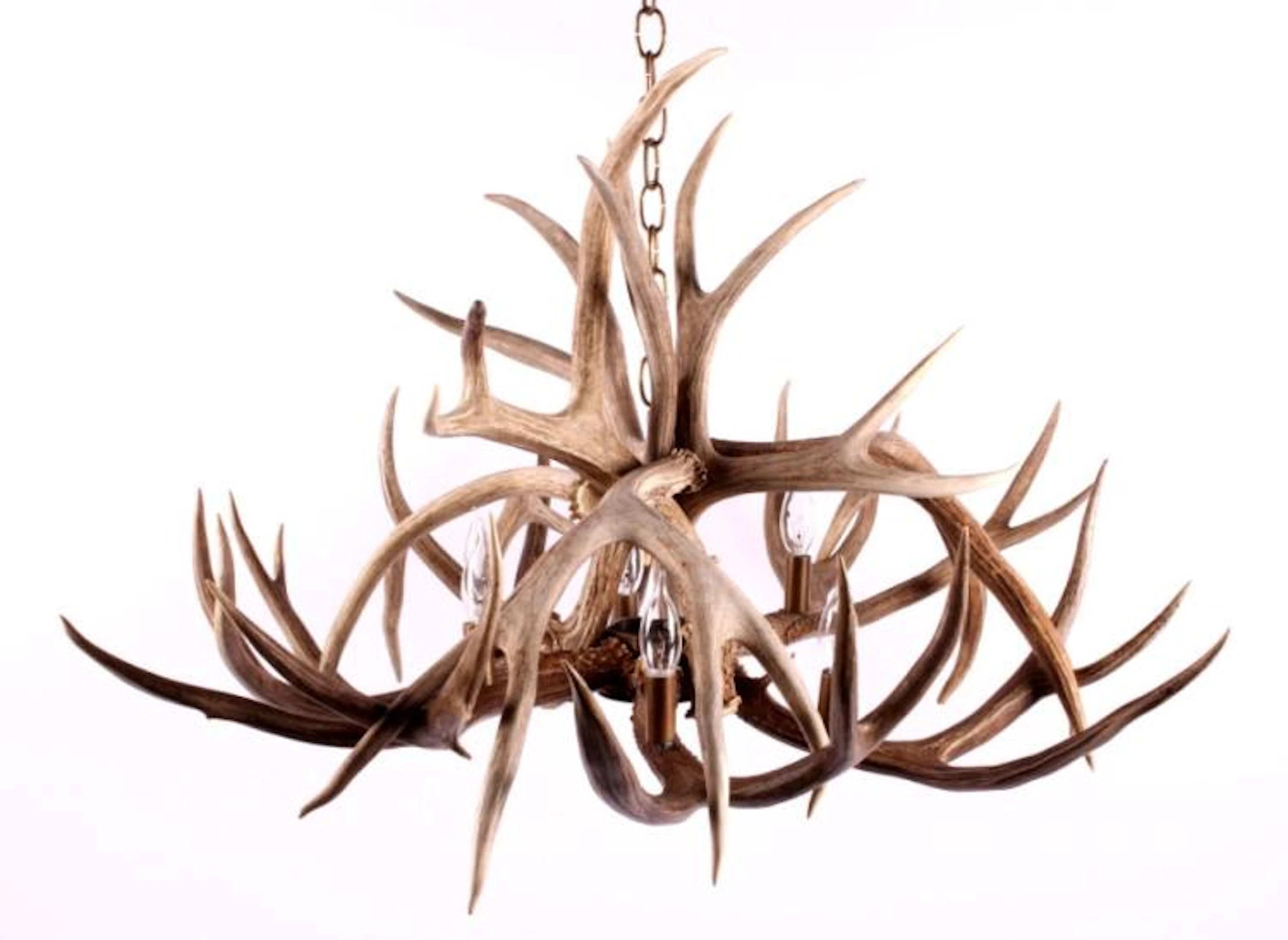 Montana Made Deer Antler Chandelier
