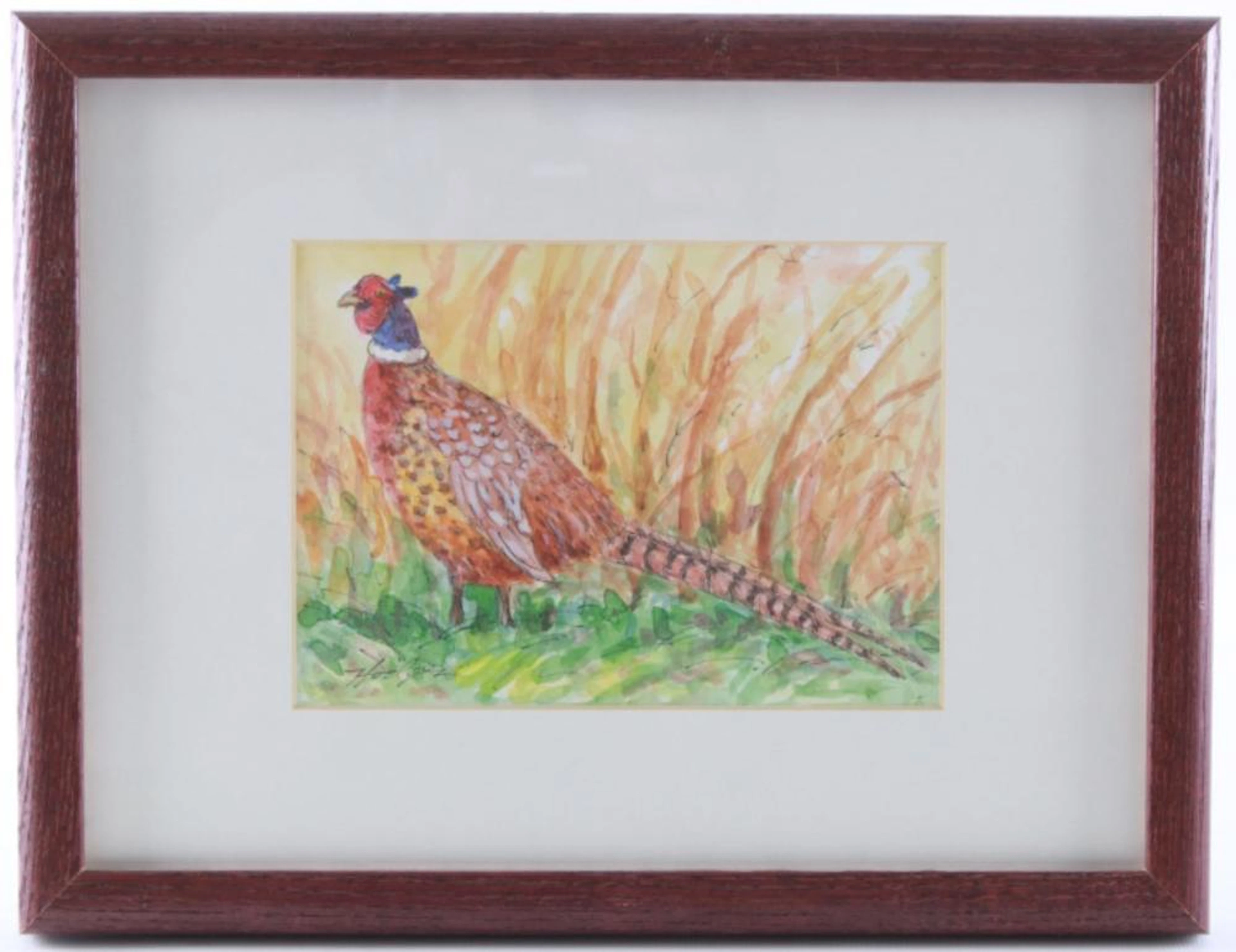Hodges, Dave (1949 -) "Ringneck" Watercolor