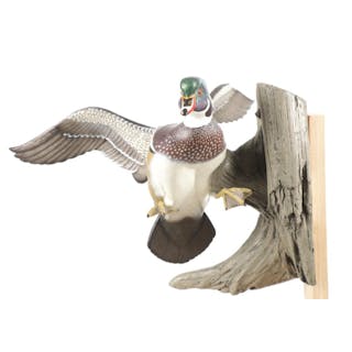 Ducks Unlimited Sam Nottleman Flying Wood Duck