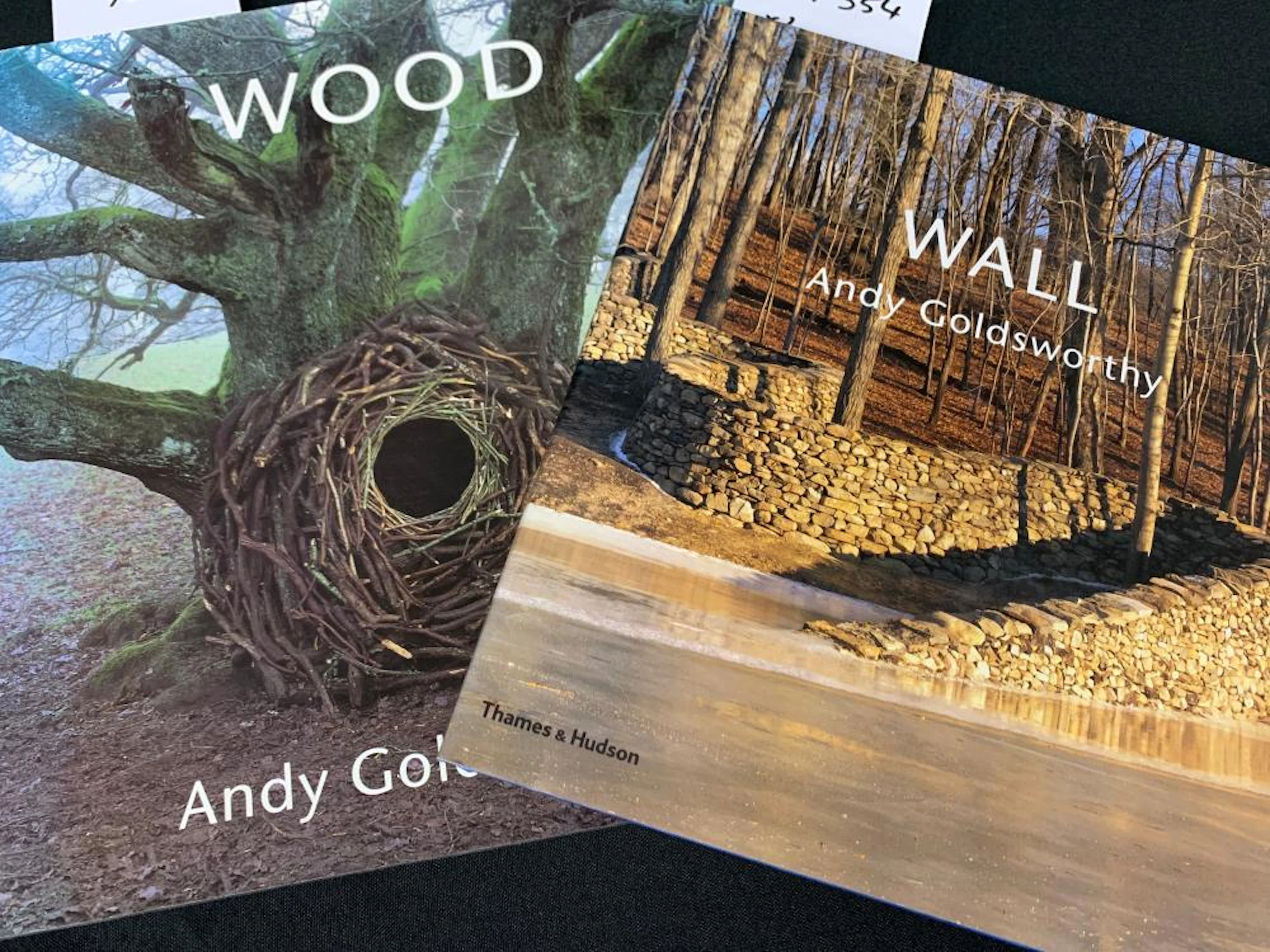 Andy Goldsworthy
