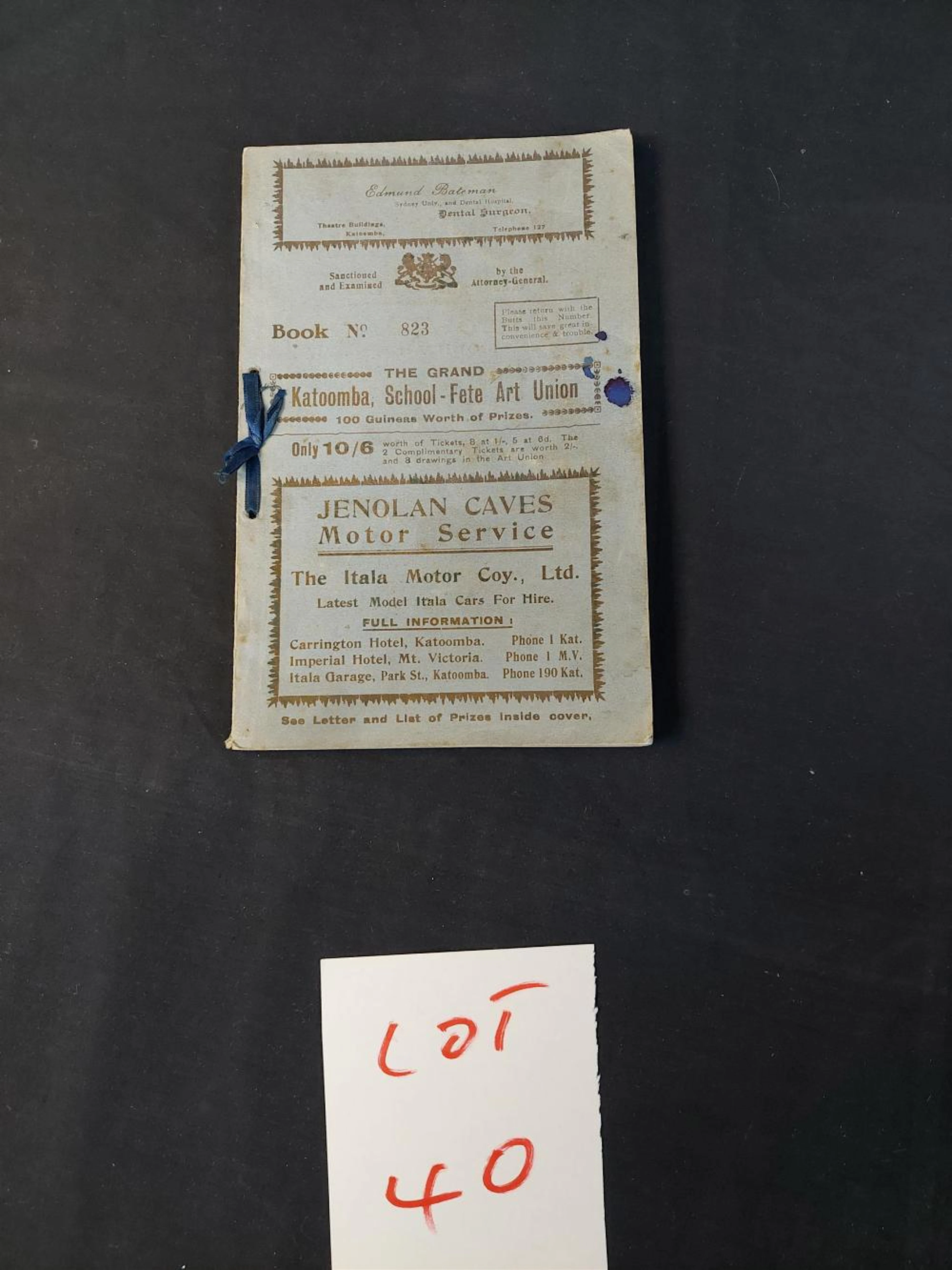 RARE BLUE MOUNTAINS 1913