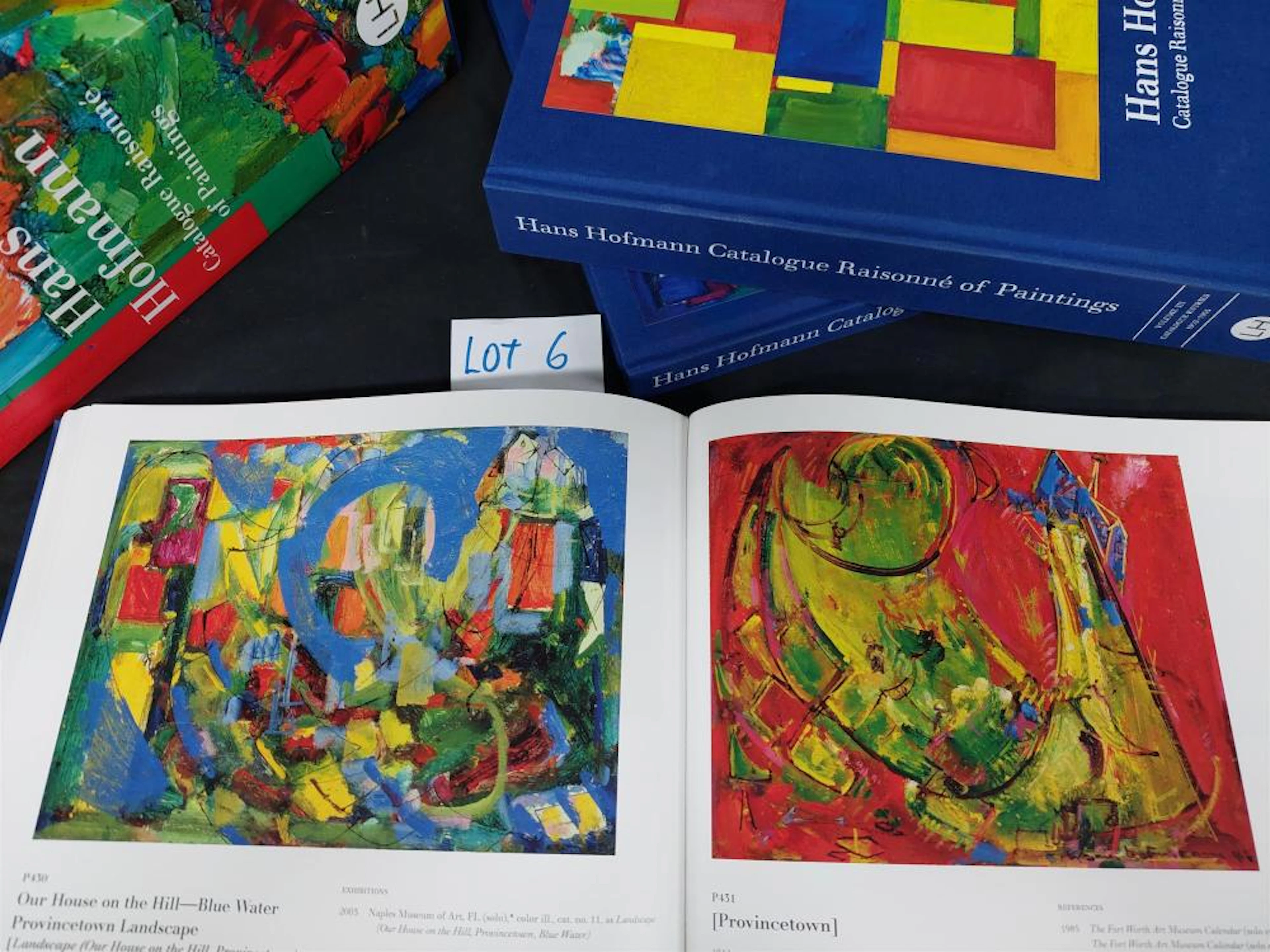HANS HOFMANN RAISONNE