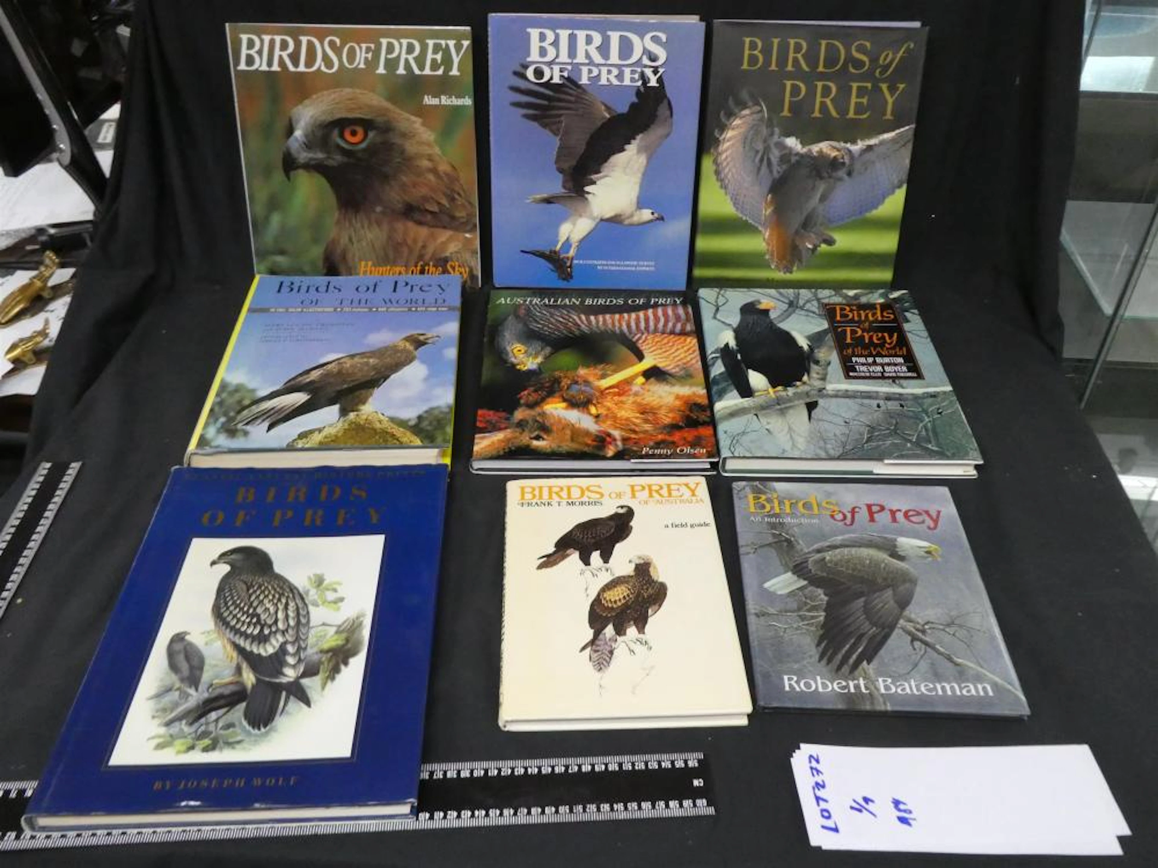 BIRDS OF PREY