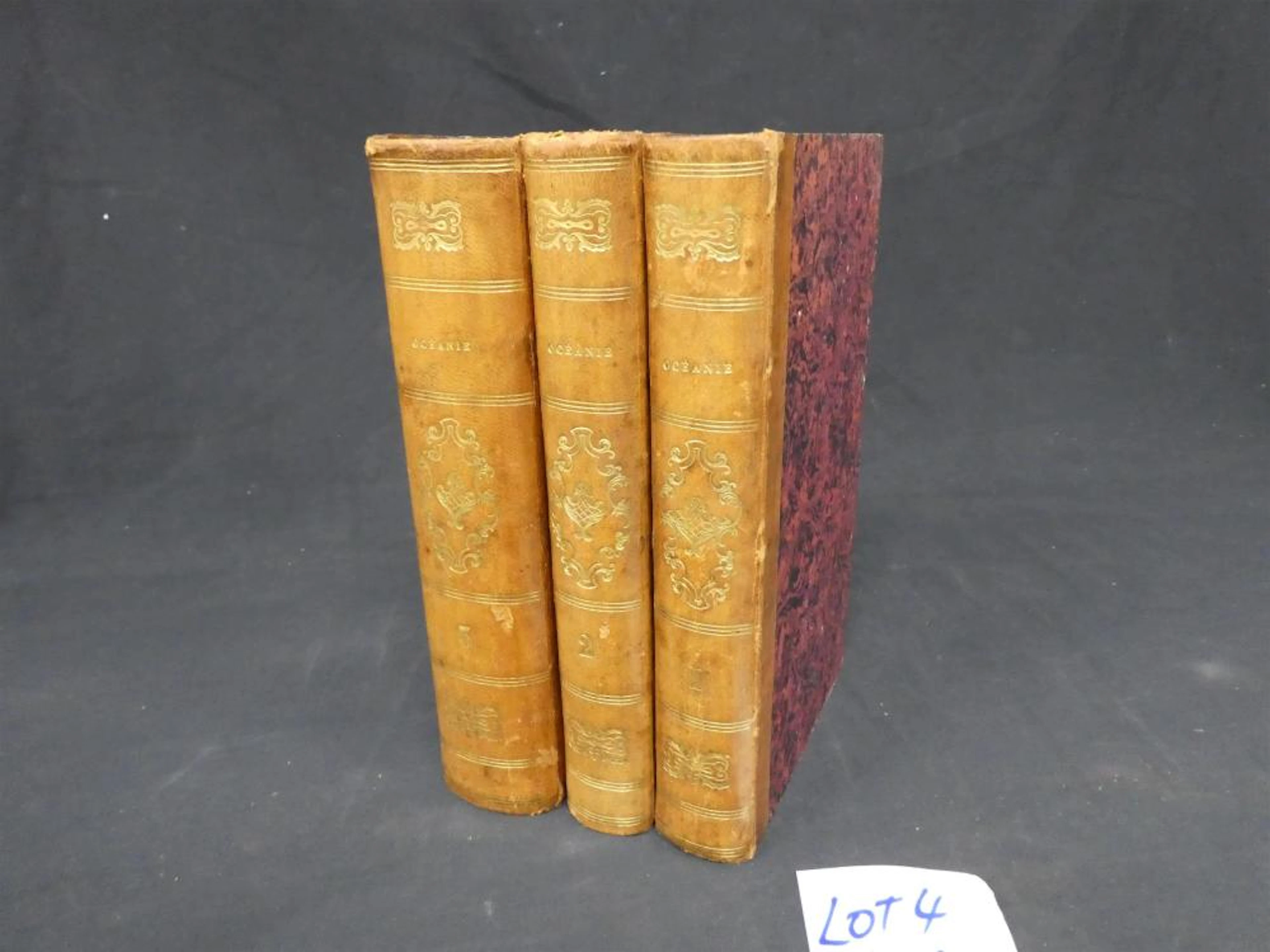 FRENCH TRAVELS IN OCEANIA 1836