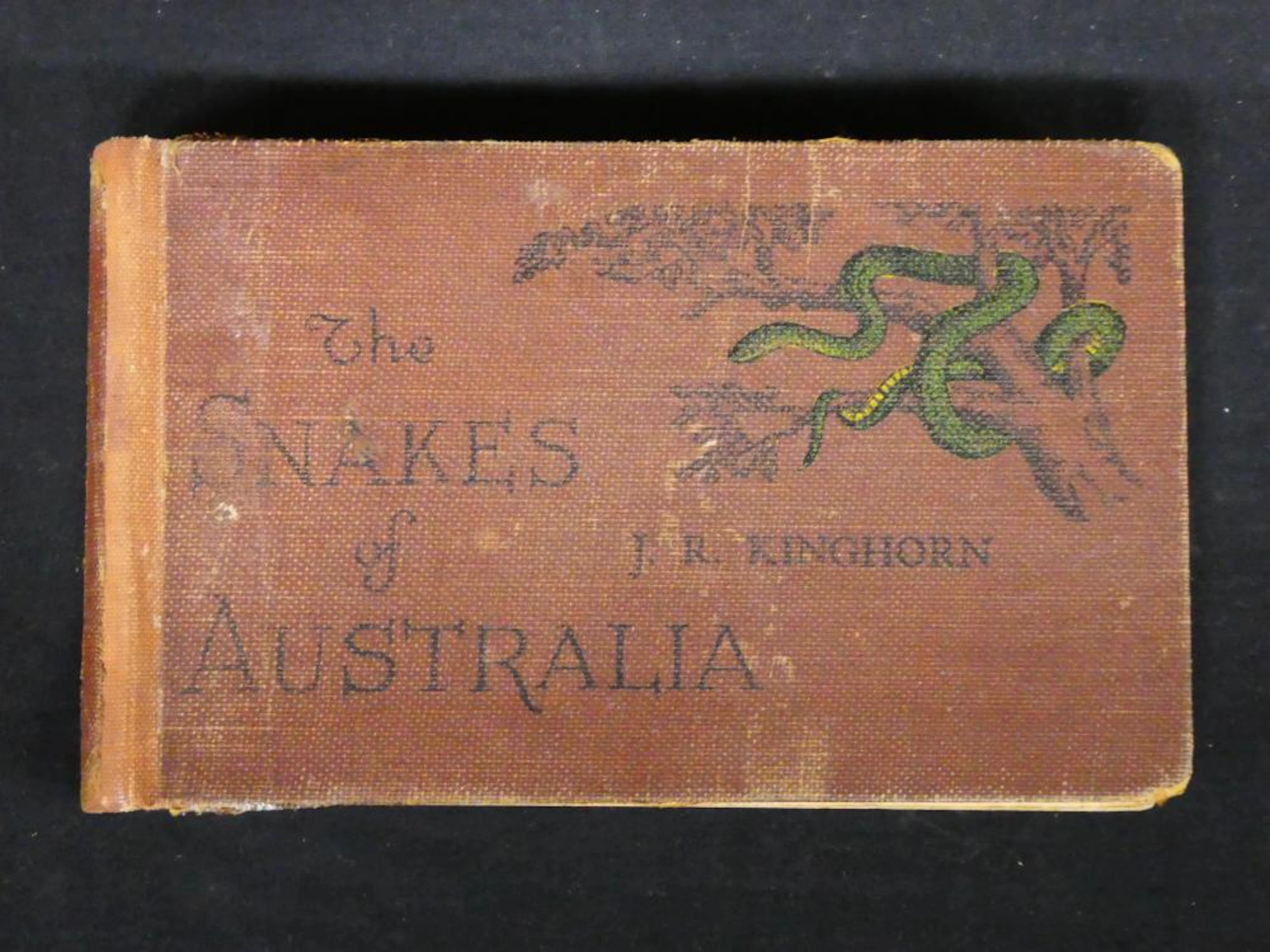 Kinghorn Snakes 1929