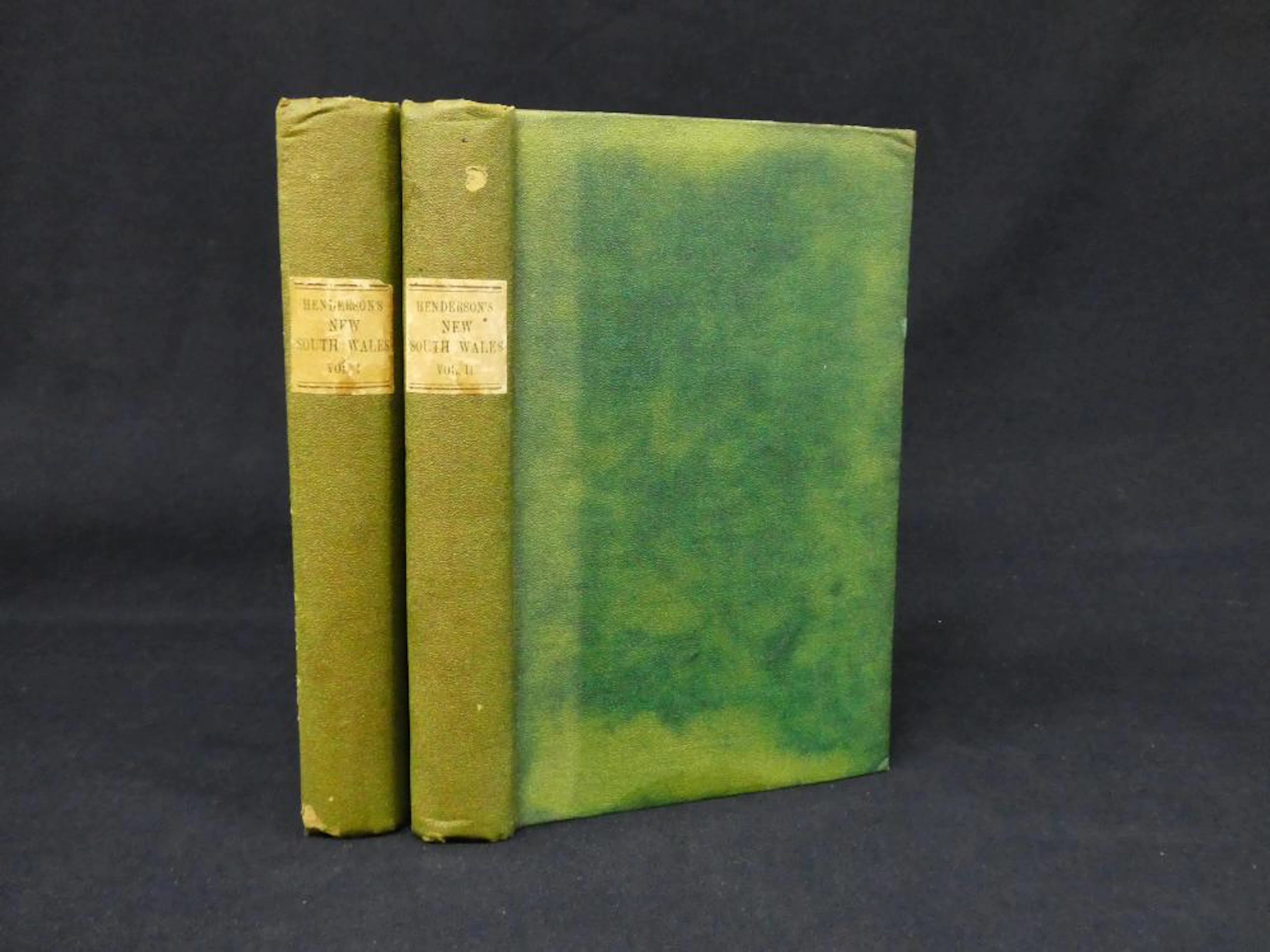 1851 Excursions in NSW Henderso