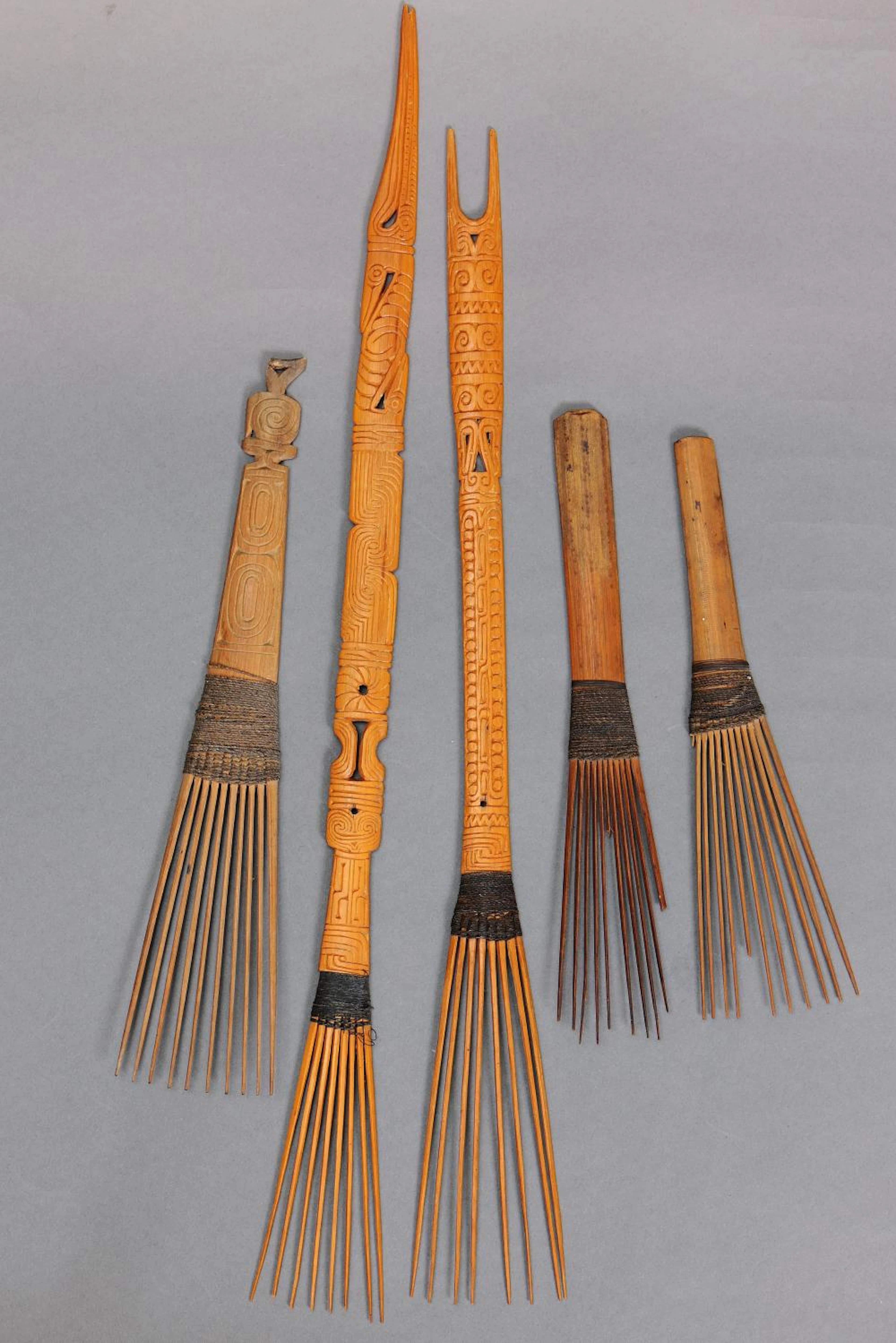 FOUR COMBS, PAPUA NEW GUINEA.