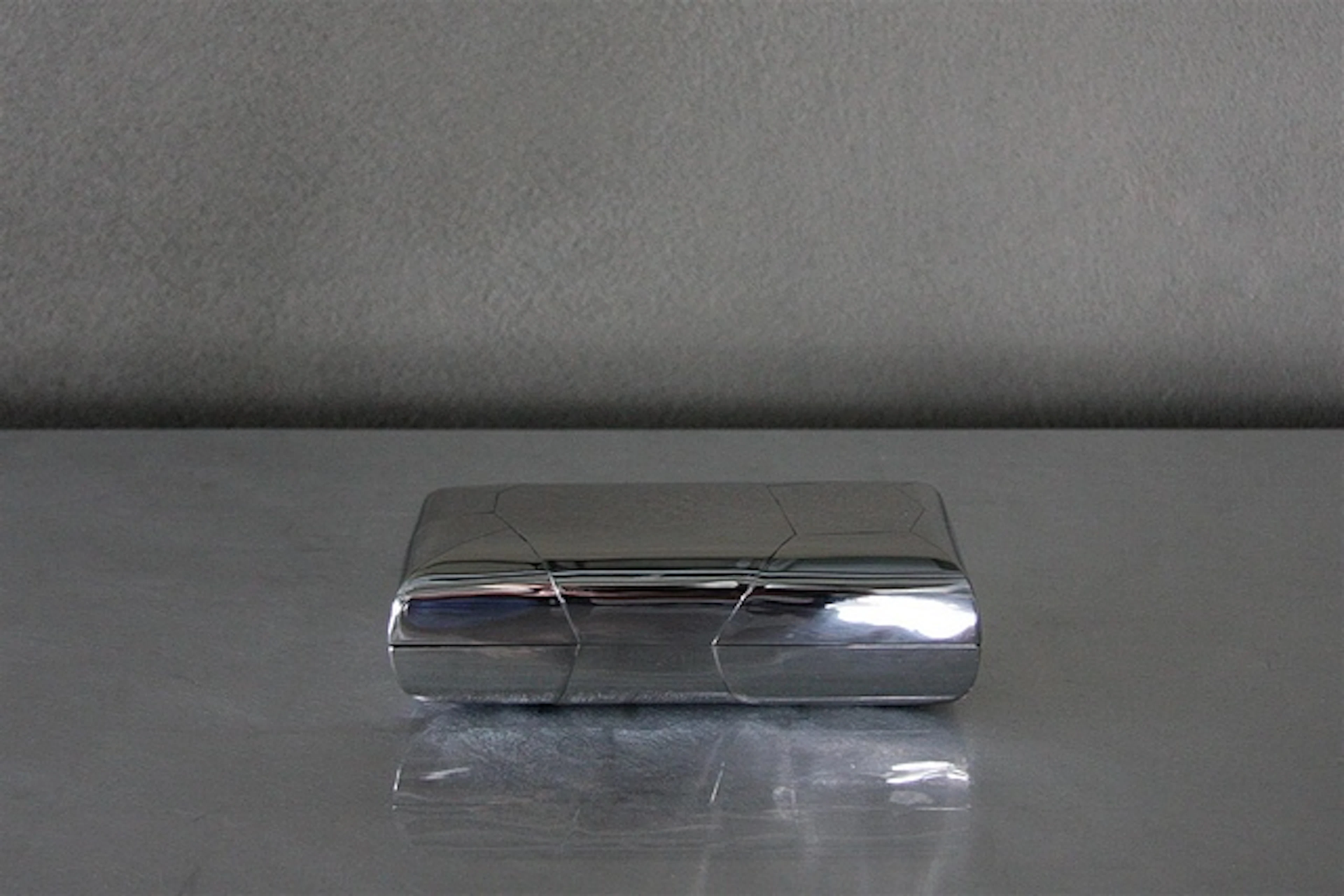 Purse crazycut stainless steel polished keep shining...