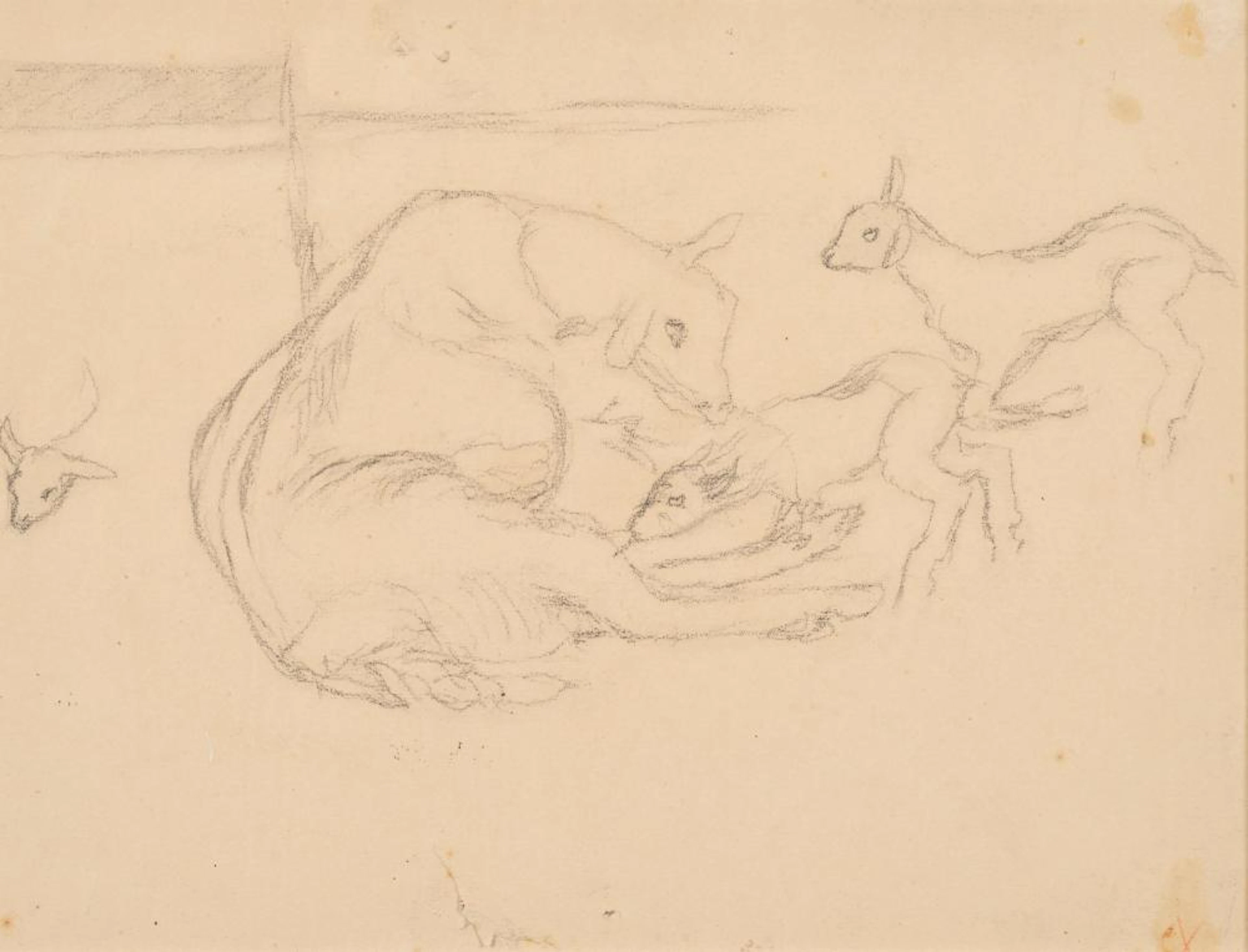 Adolf Dietrich 1877?1957