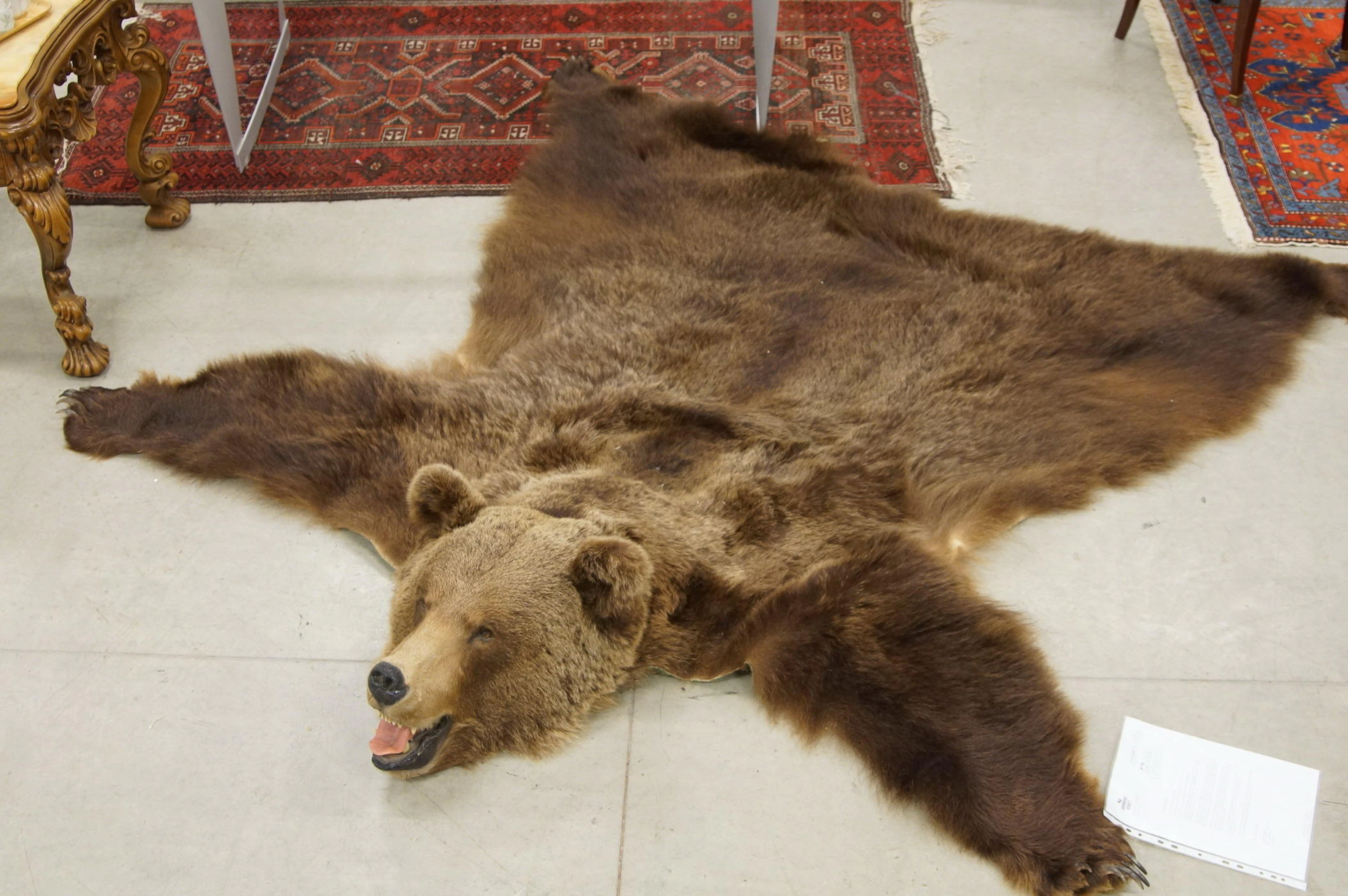 Björnfäll