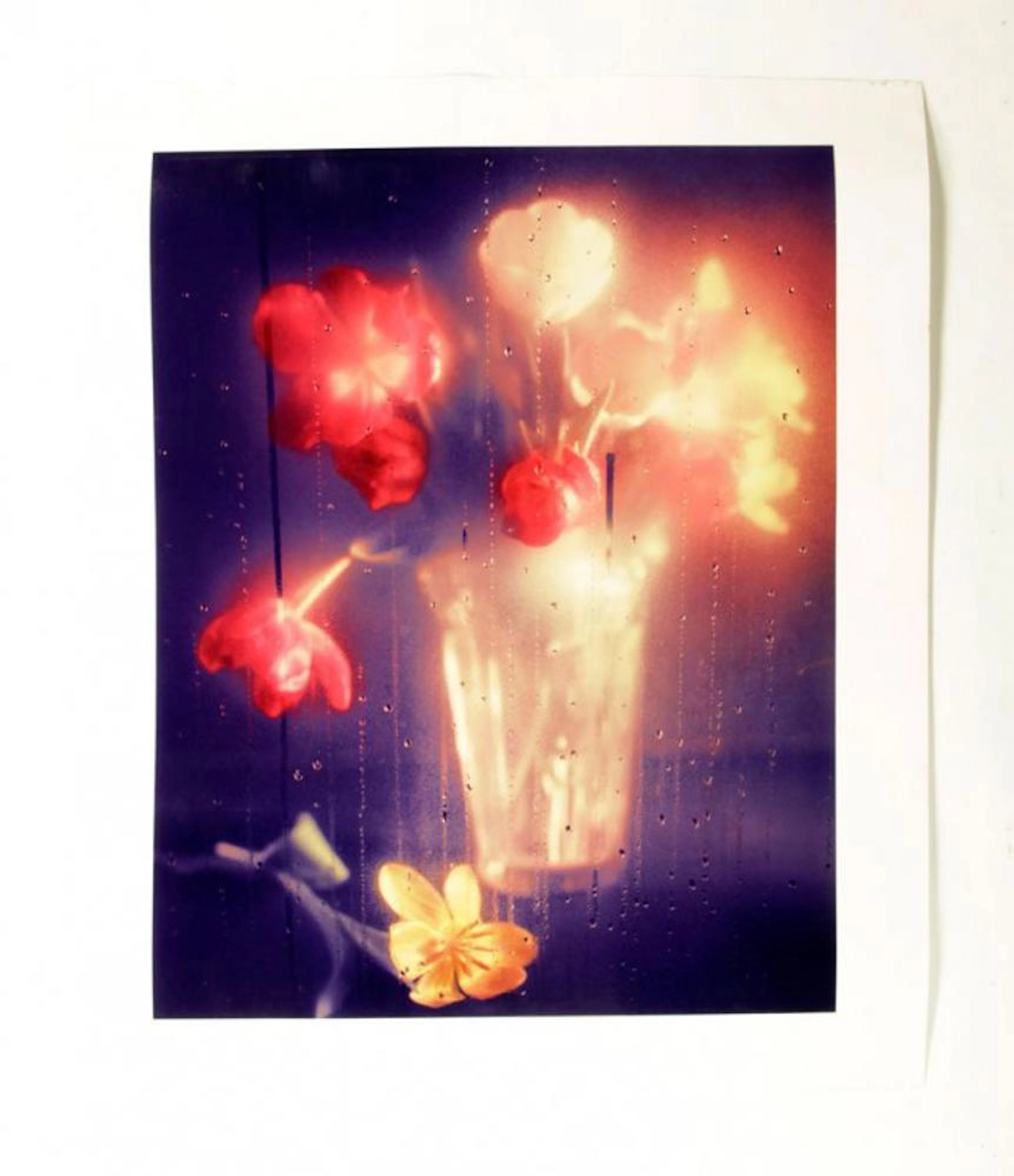 Horst, Floral Scene, Photograph