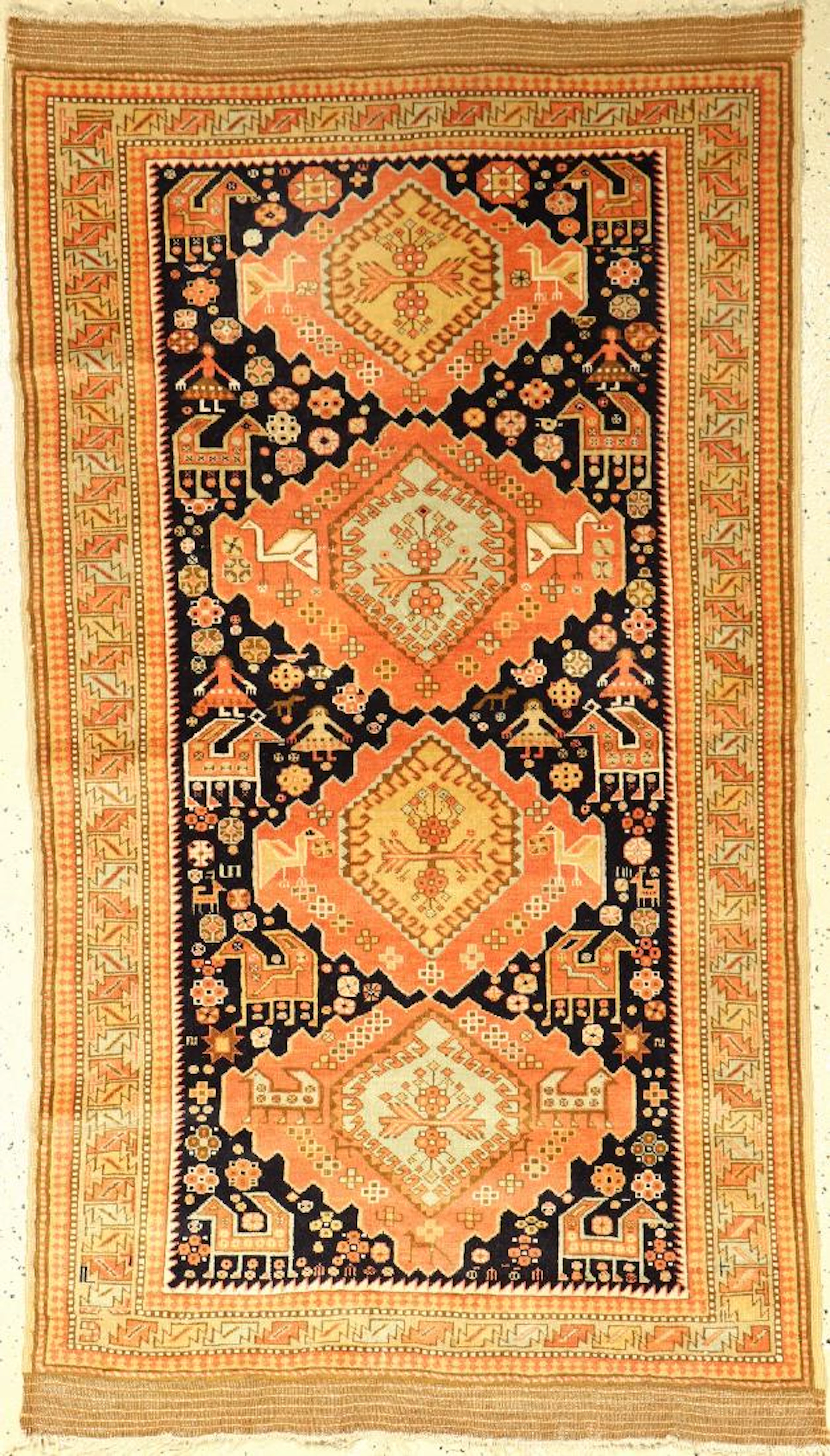Azeri Shirvan (Re-Production),