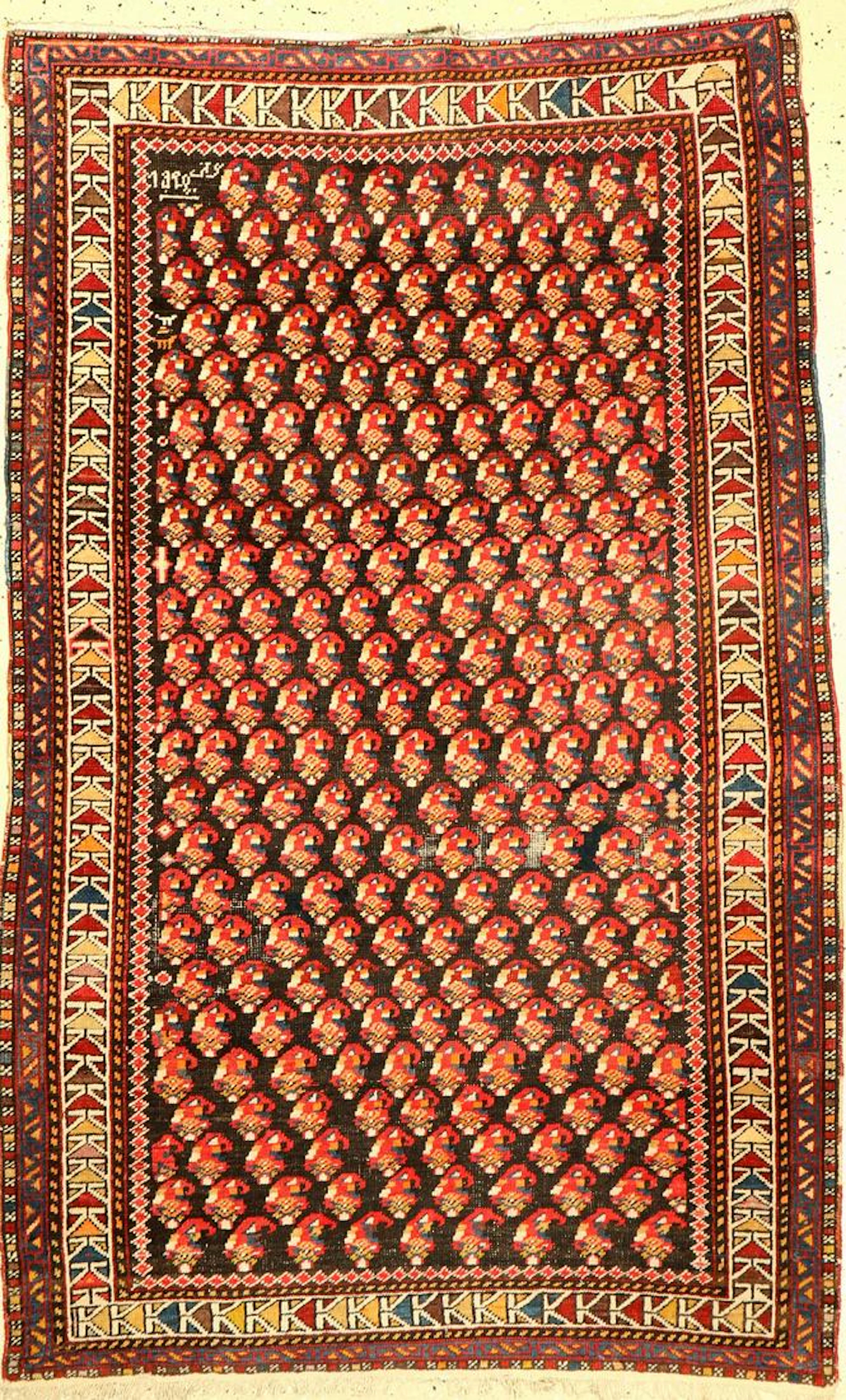 Shirvan Rug