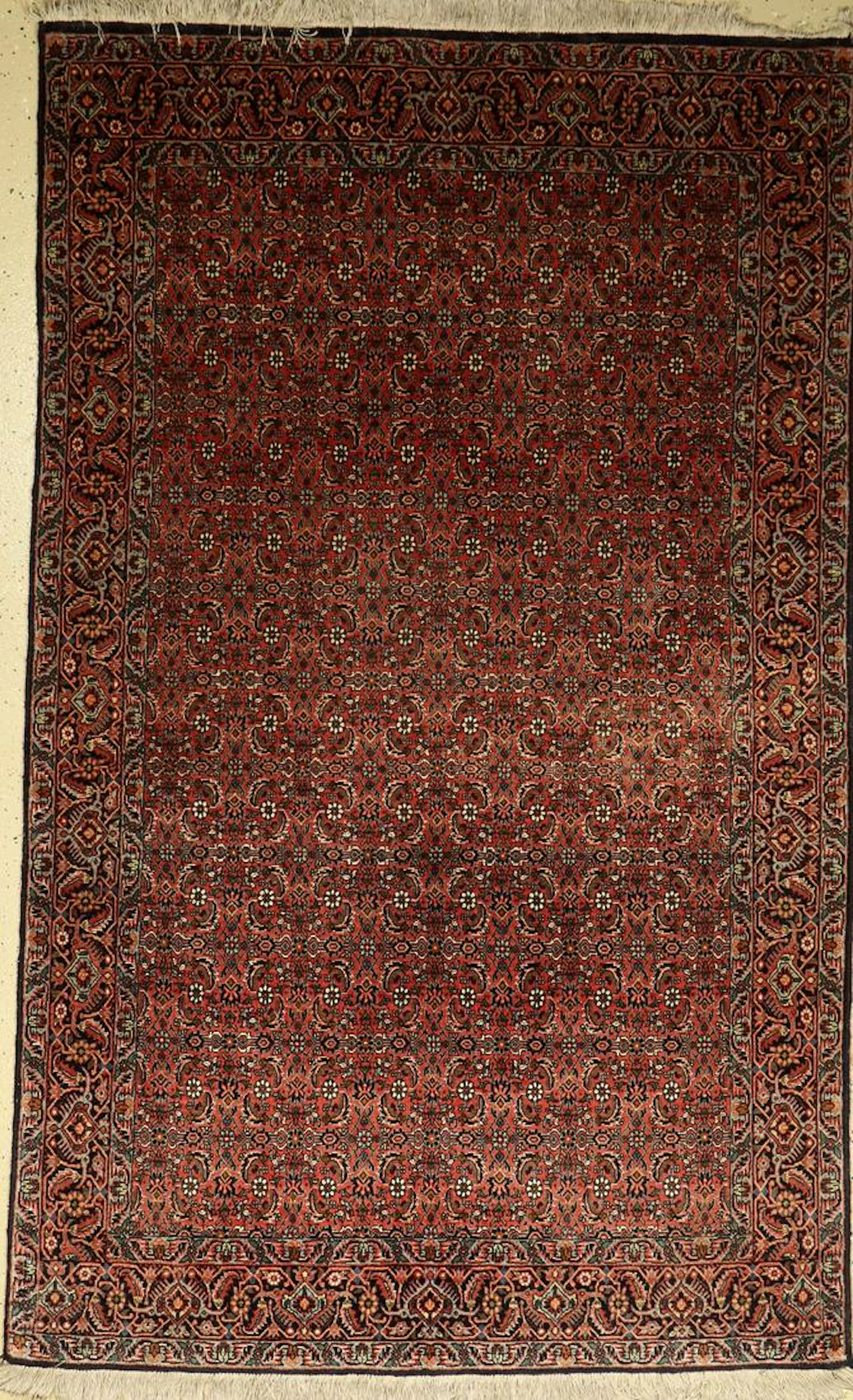 Bidjar fine Rug, Persia, approx. 20 years, wool on