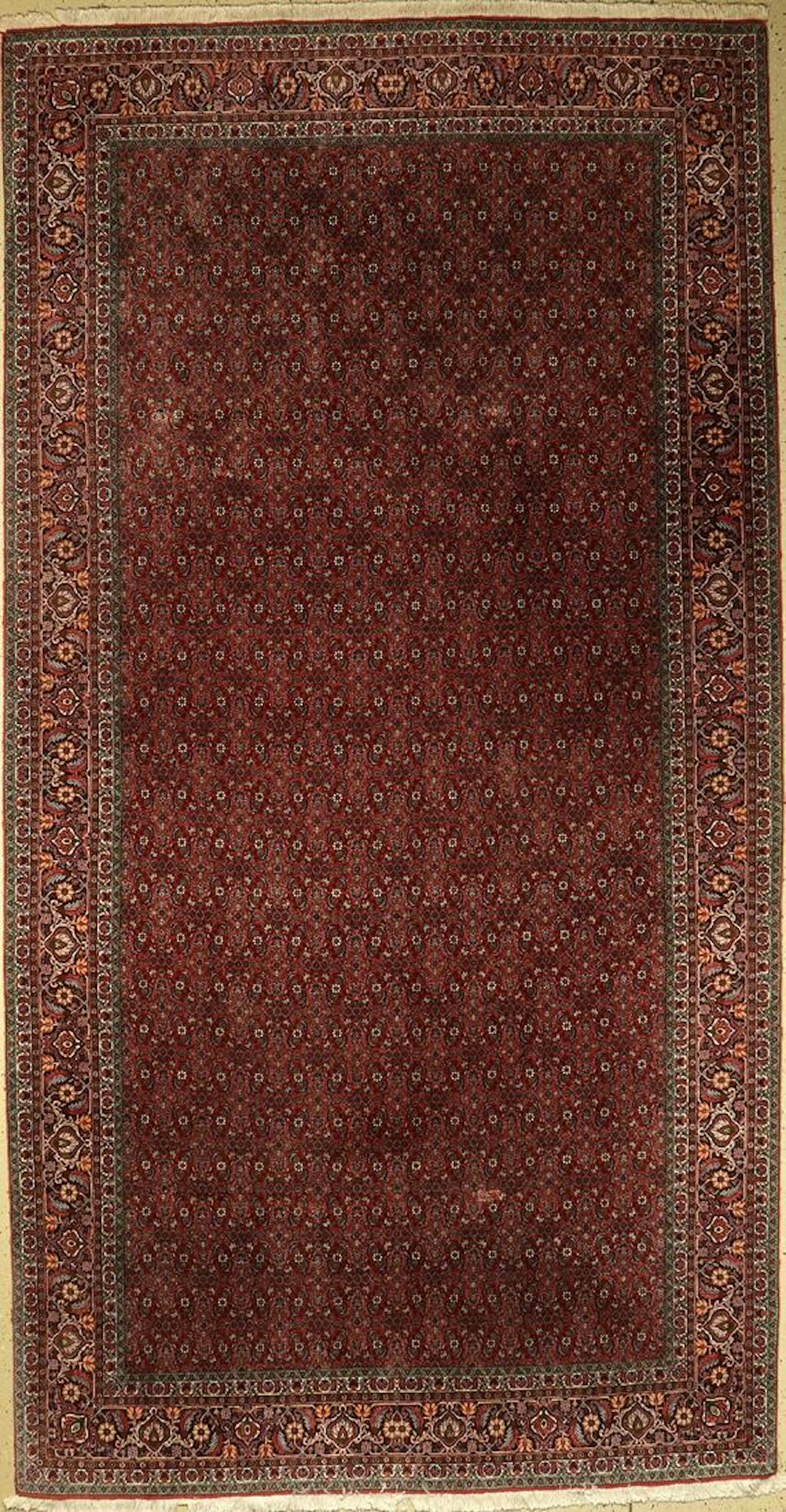 Bidjar fine, Persia, approx. 30 years, cork wool with