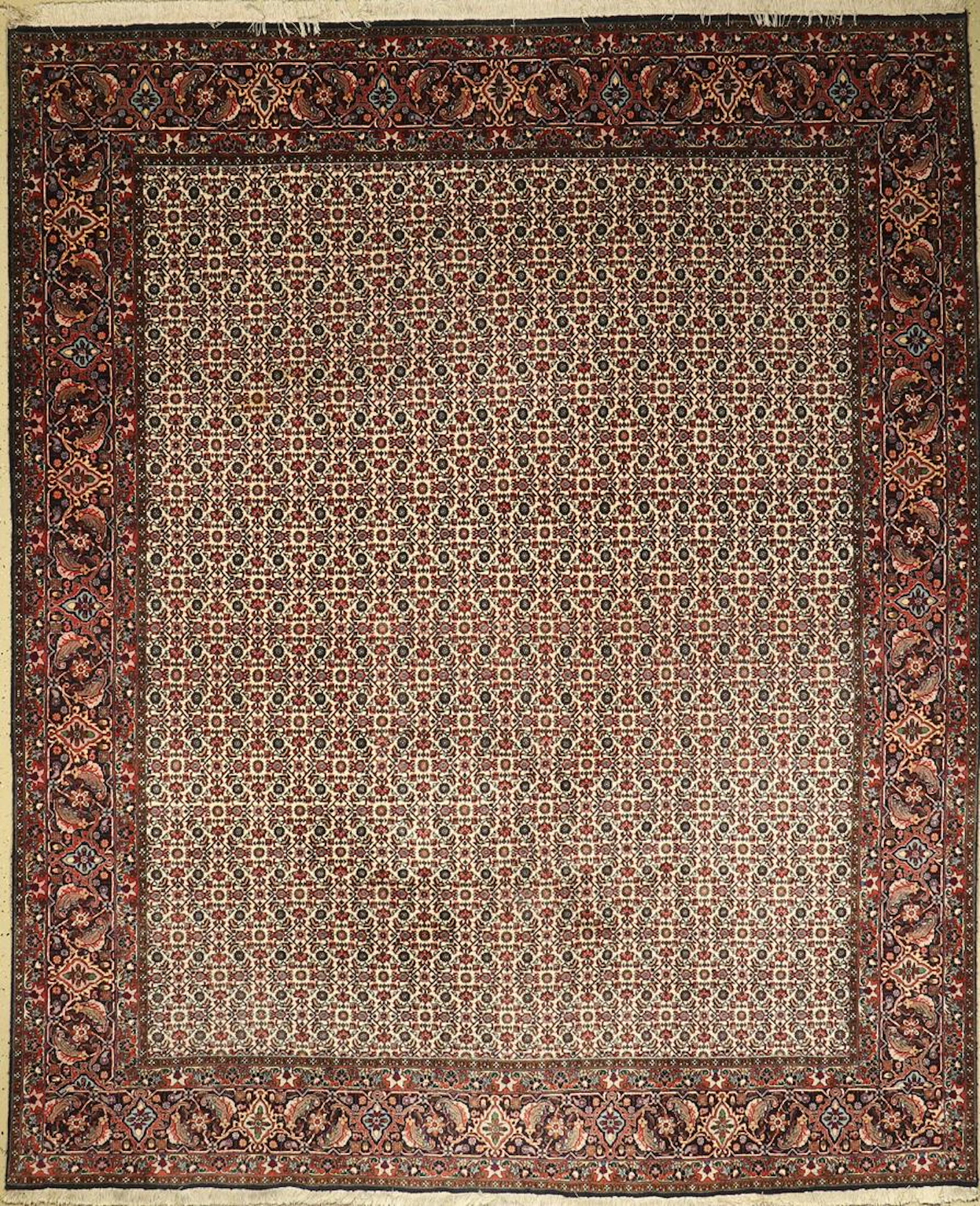 Bidjar, Persia, approx. 30 years, wool on cotton