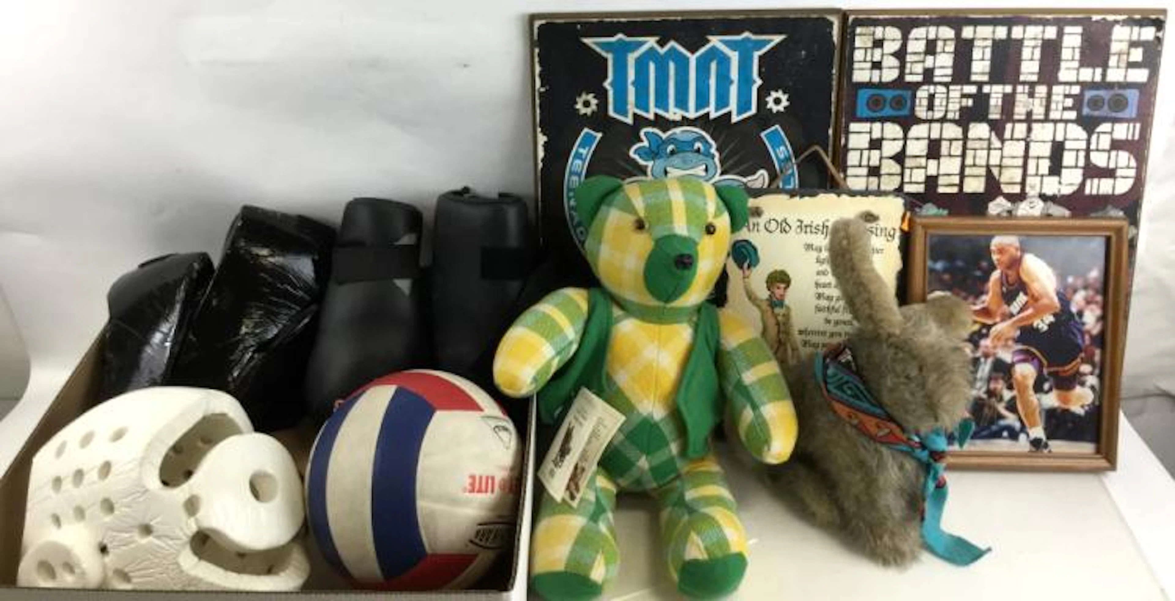 Sparring Gear, Tmnt Posters, Volleyball