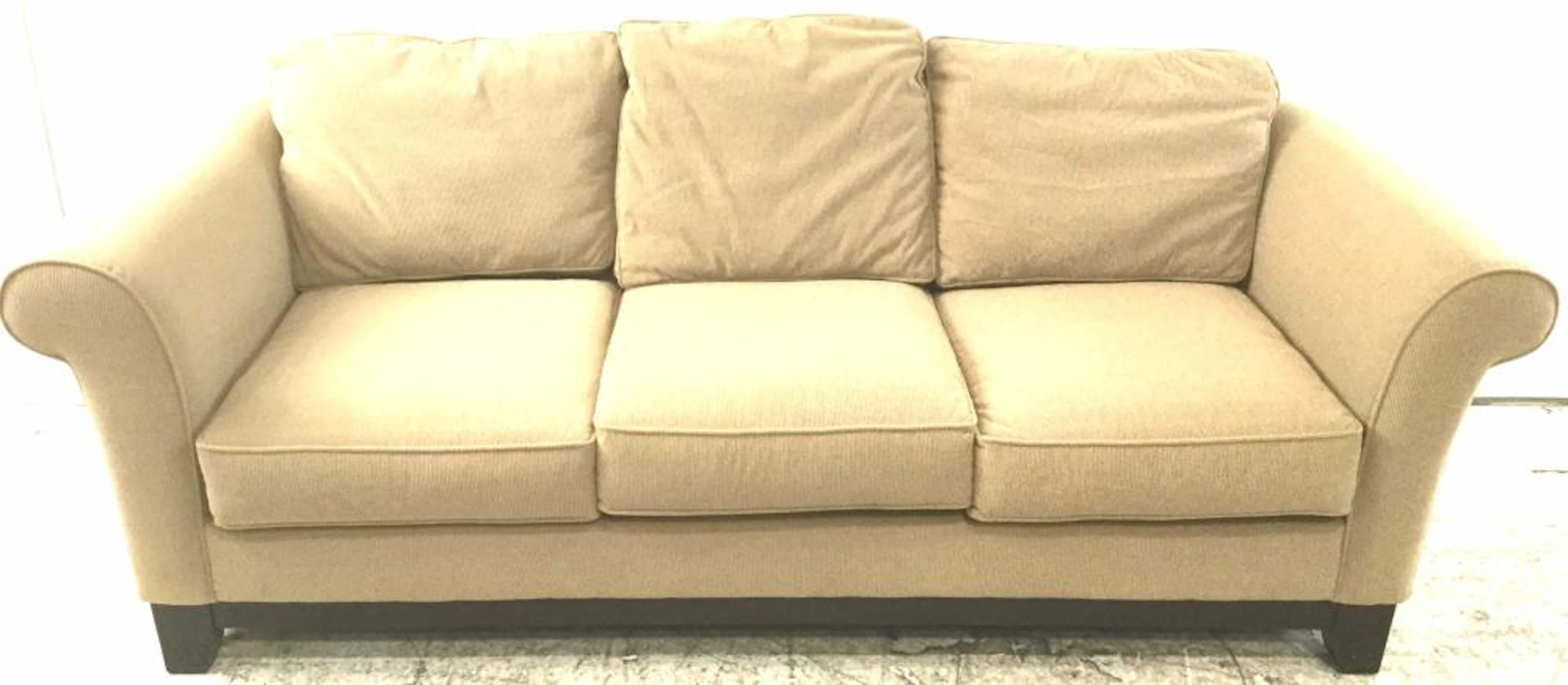 Bauhaus Usa Inc. Rolled Arm Sleeper Sofa
