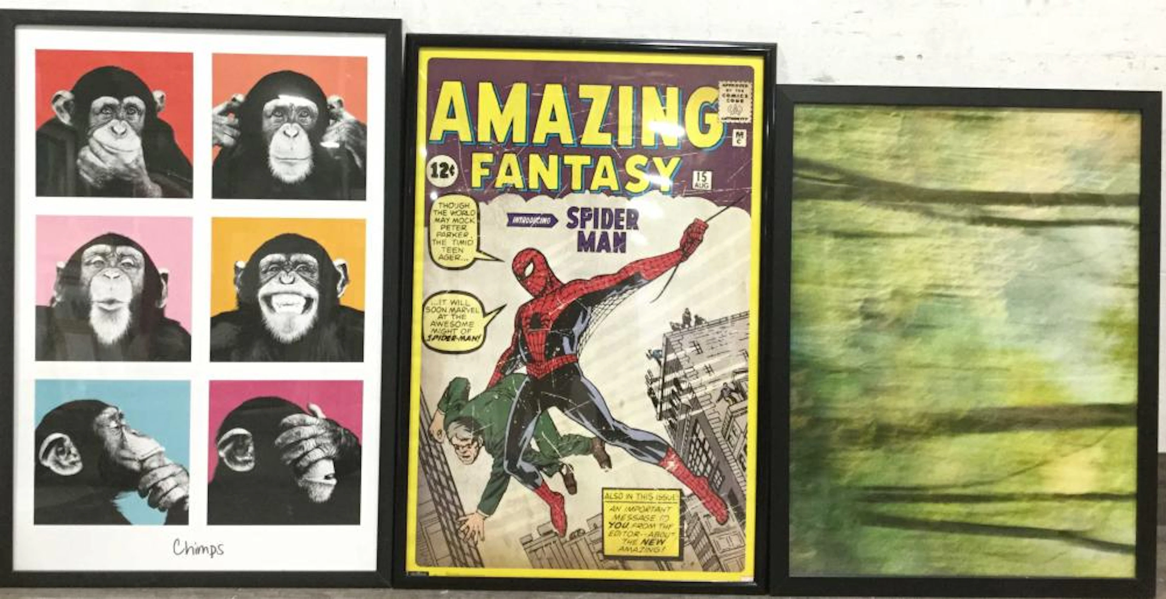 (3) Assorted Home Decor Framed Posters