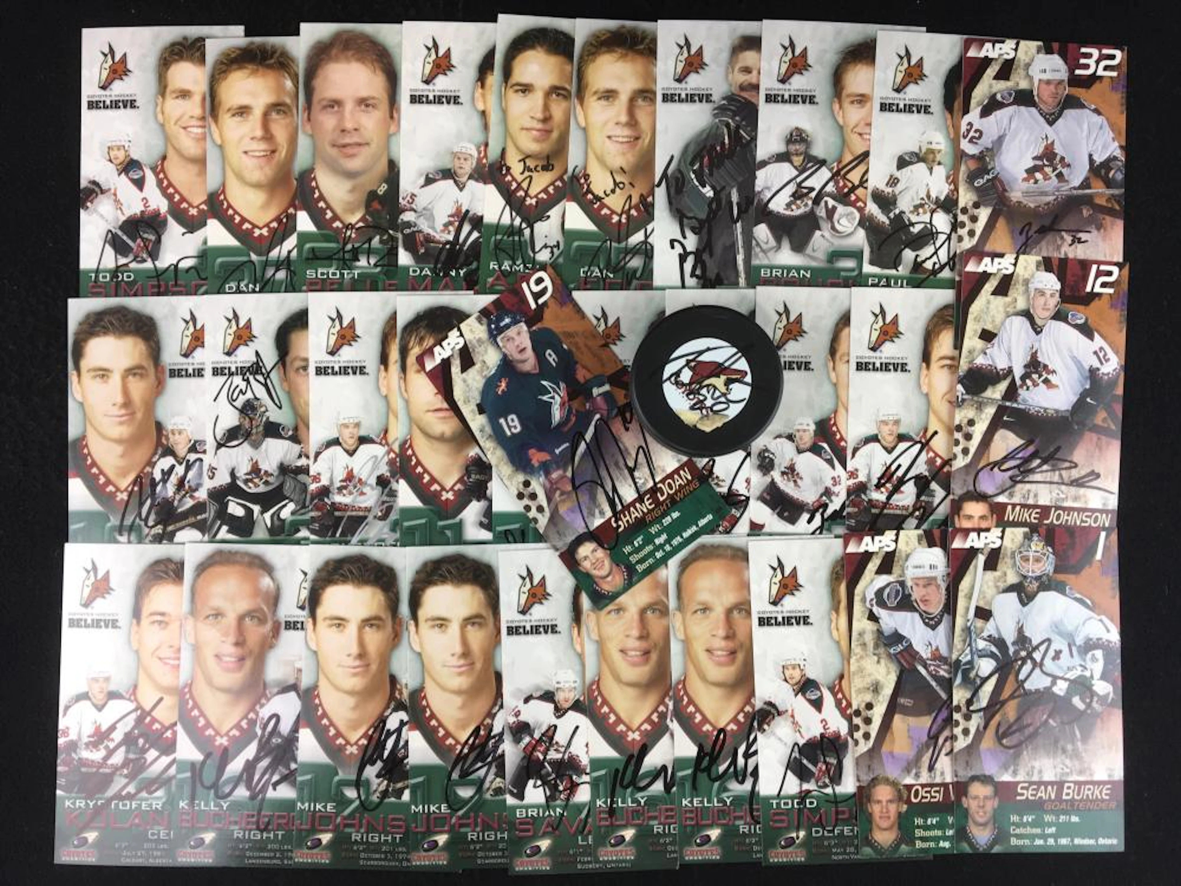 (31) Phoenix Coyotes Autographed Hockey Cards
