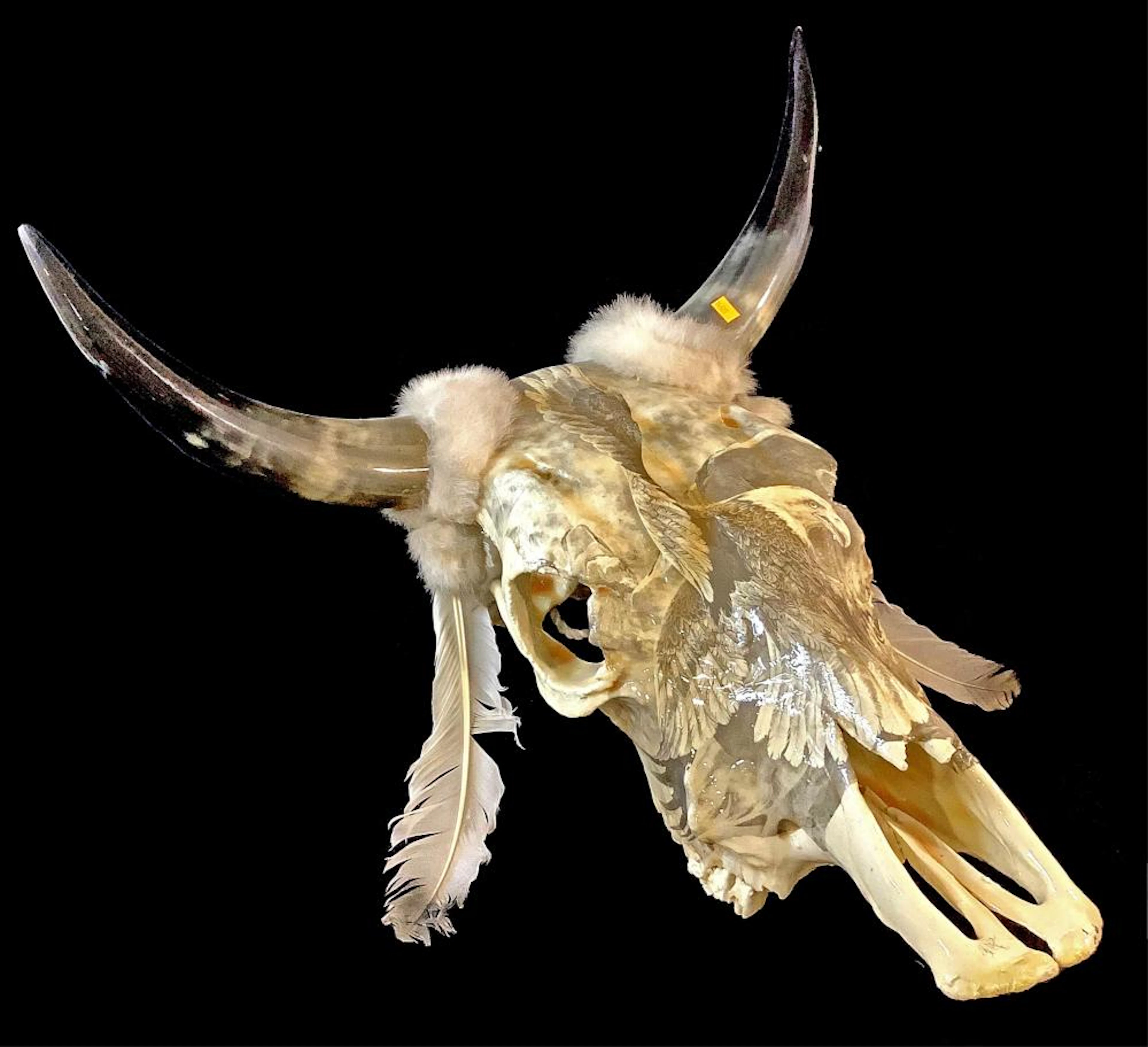 Lord?s Div Steer Skull w/ Glazed Eagle Print