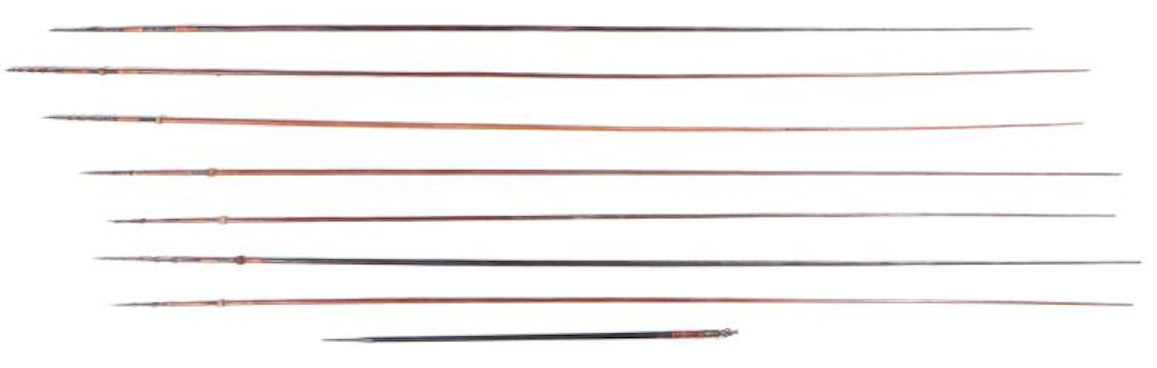 Collection of 7 African Spears and a Brass Finial Staff (8)
