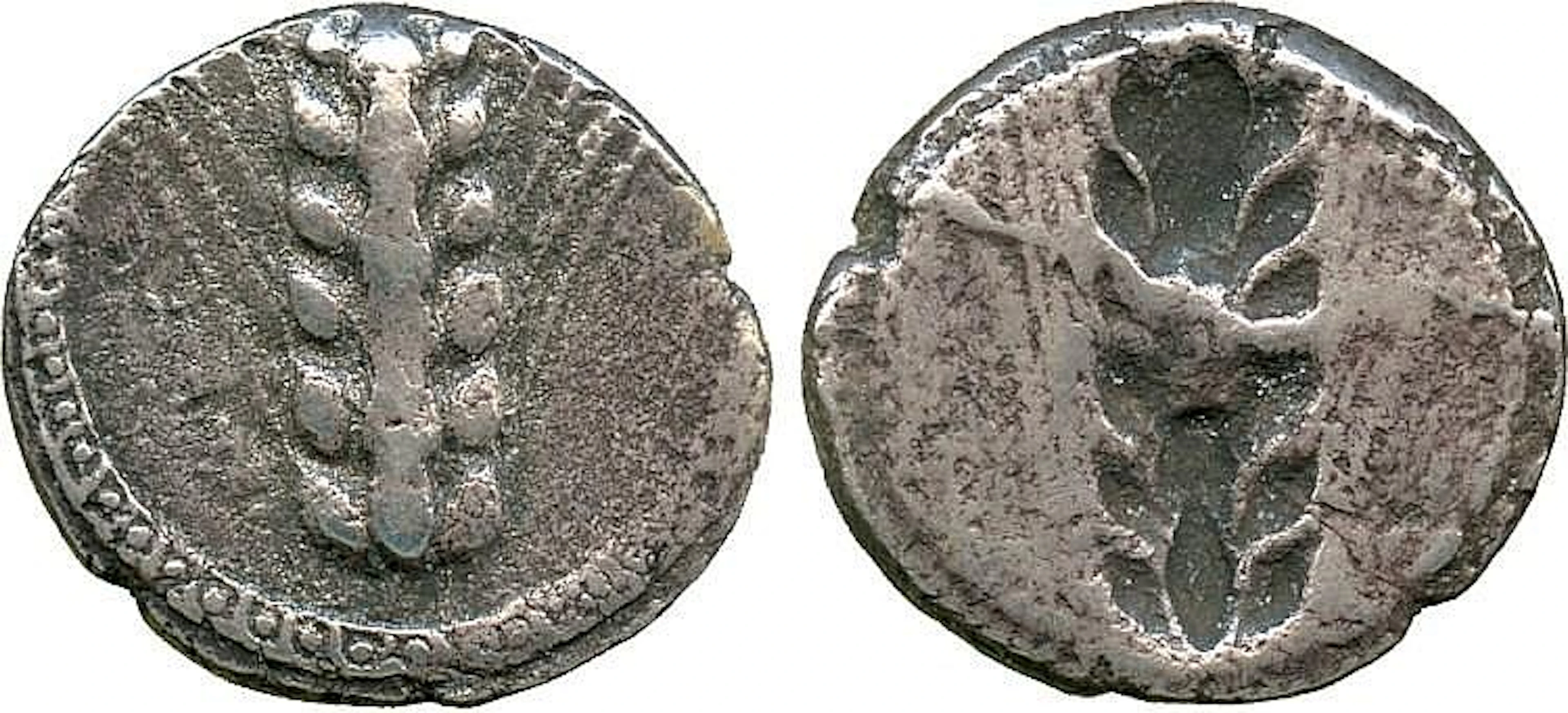 ANCIENT COINS. Greek. Lucania, Metapontum