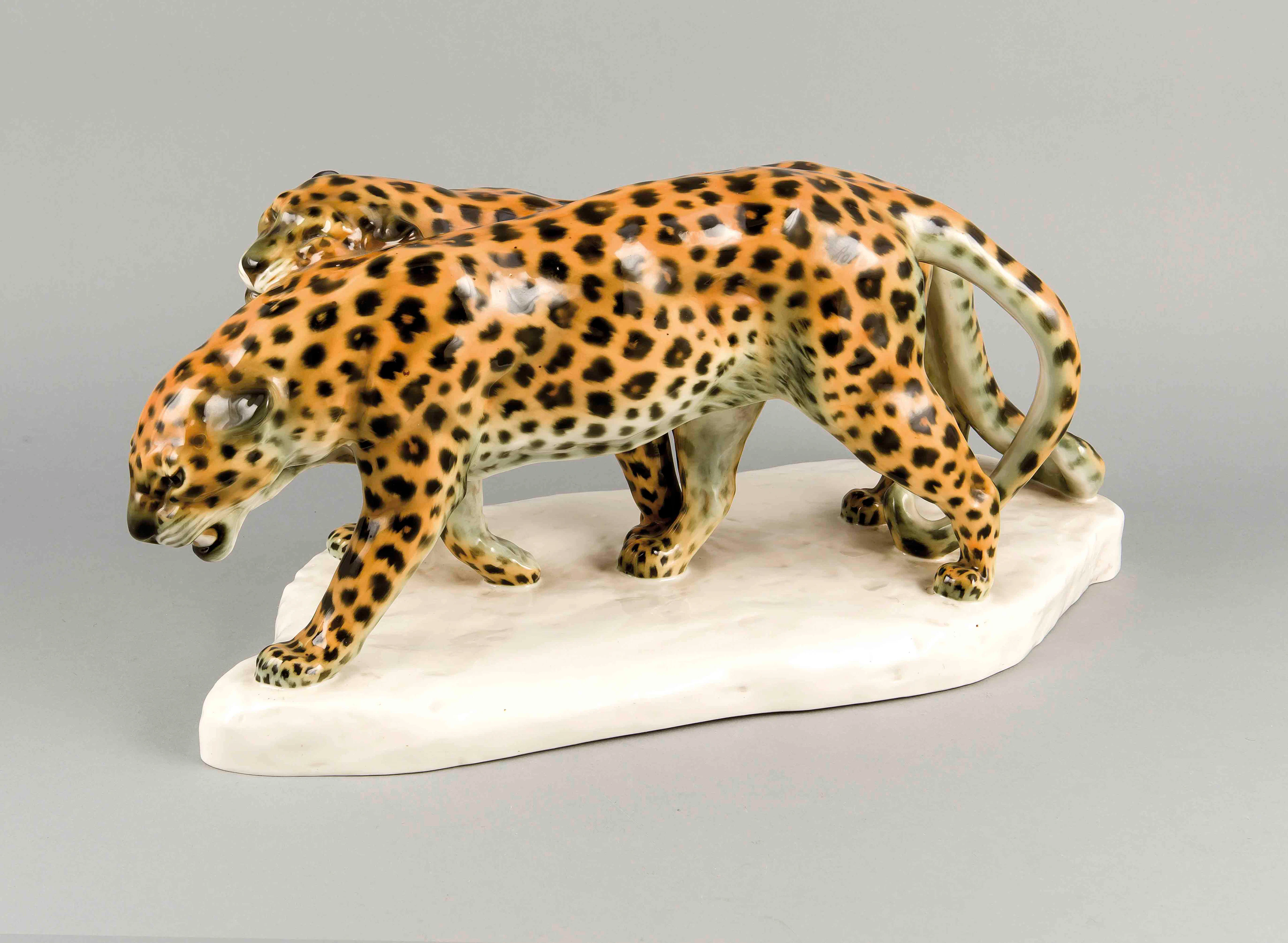 Leopardengruppe