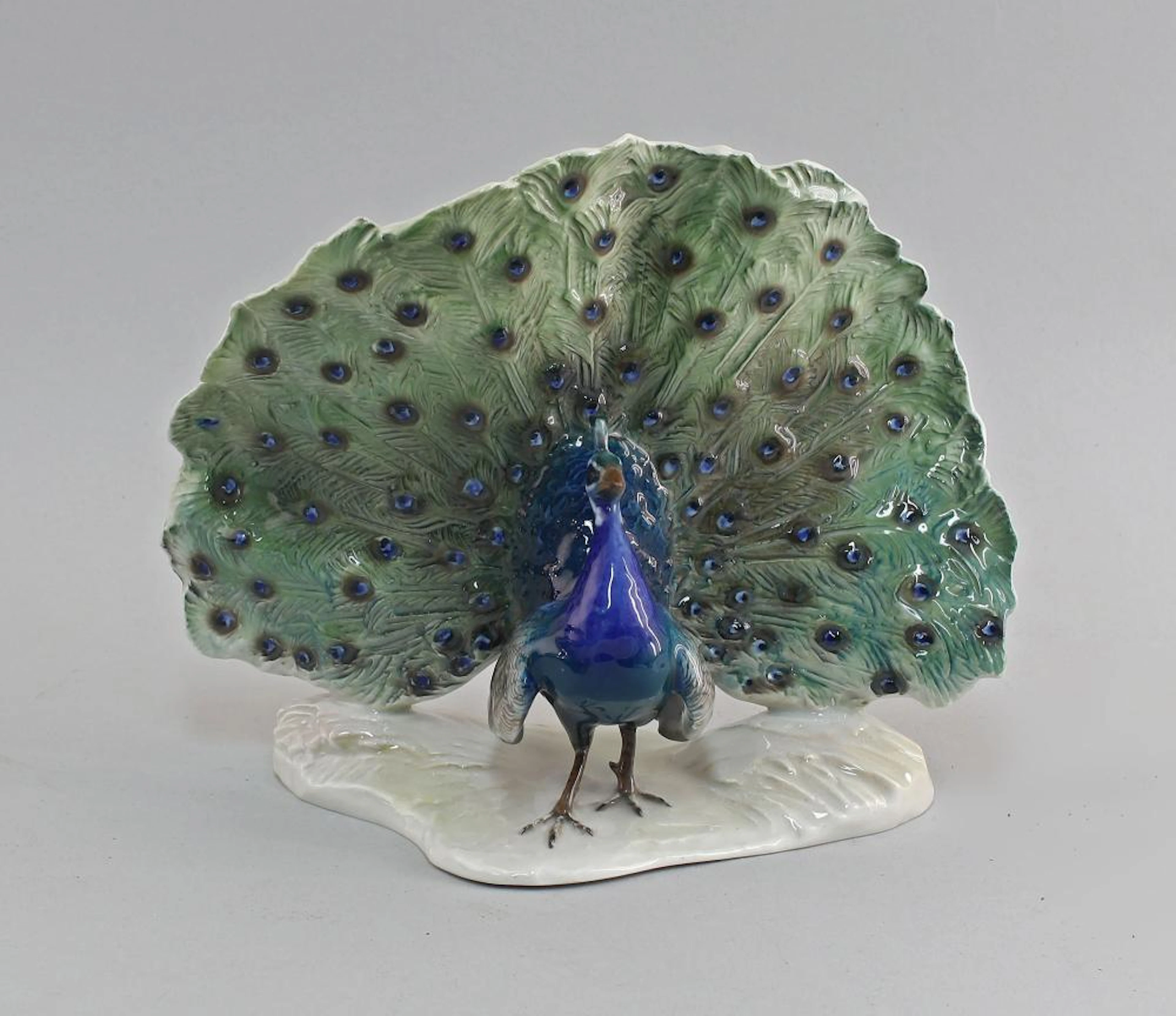 Heidenreich, radschlagender Pfau Rosenthal