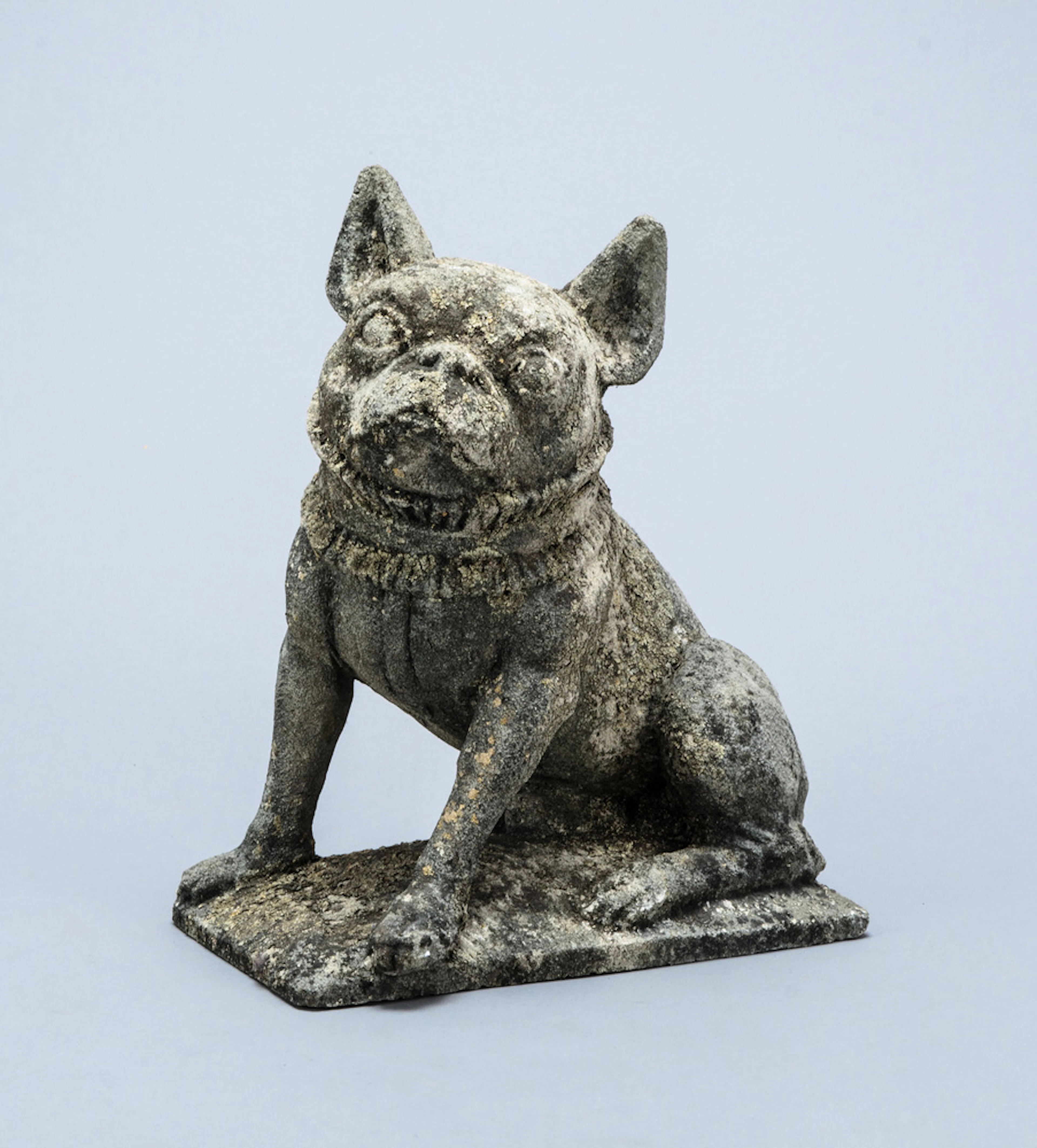 Bouledogue français, sculpture en pierre, 44x35x2, (dégâts)