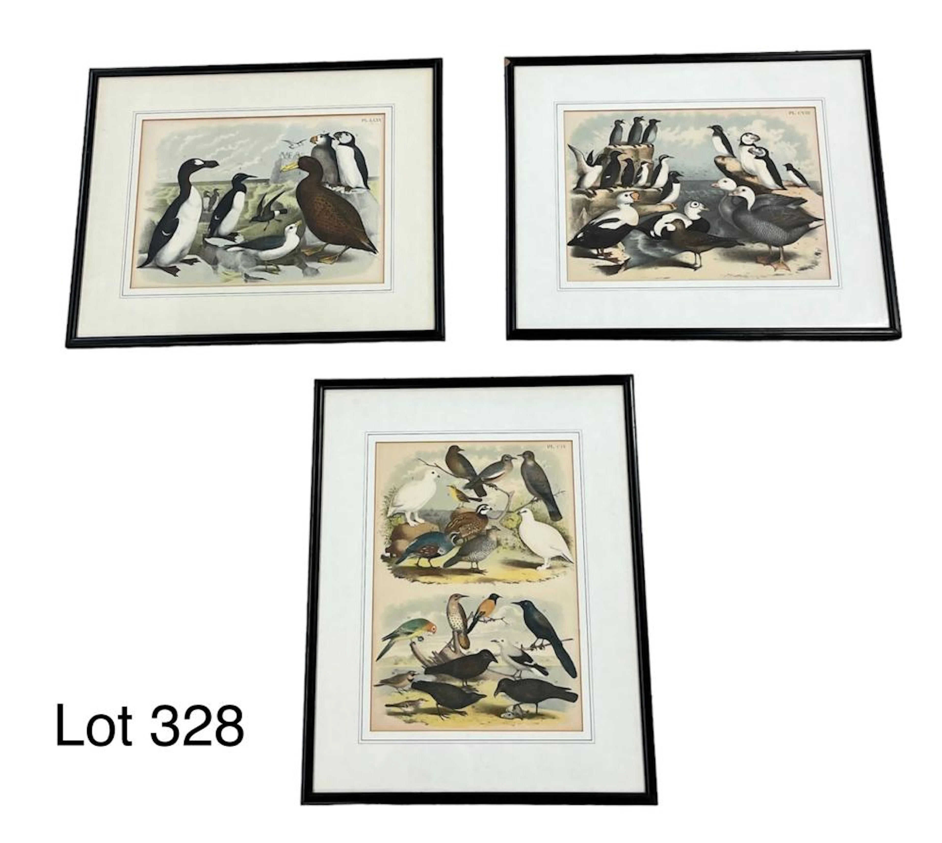 Trio of Antique Lithographs from Studer's Popular...
