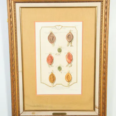 Engraving, Ancient Seals, George Vertue (1684-1756) FR3SHLM | Barnebys