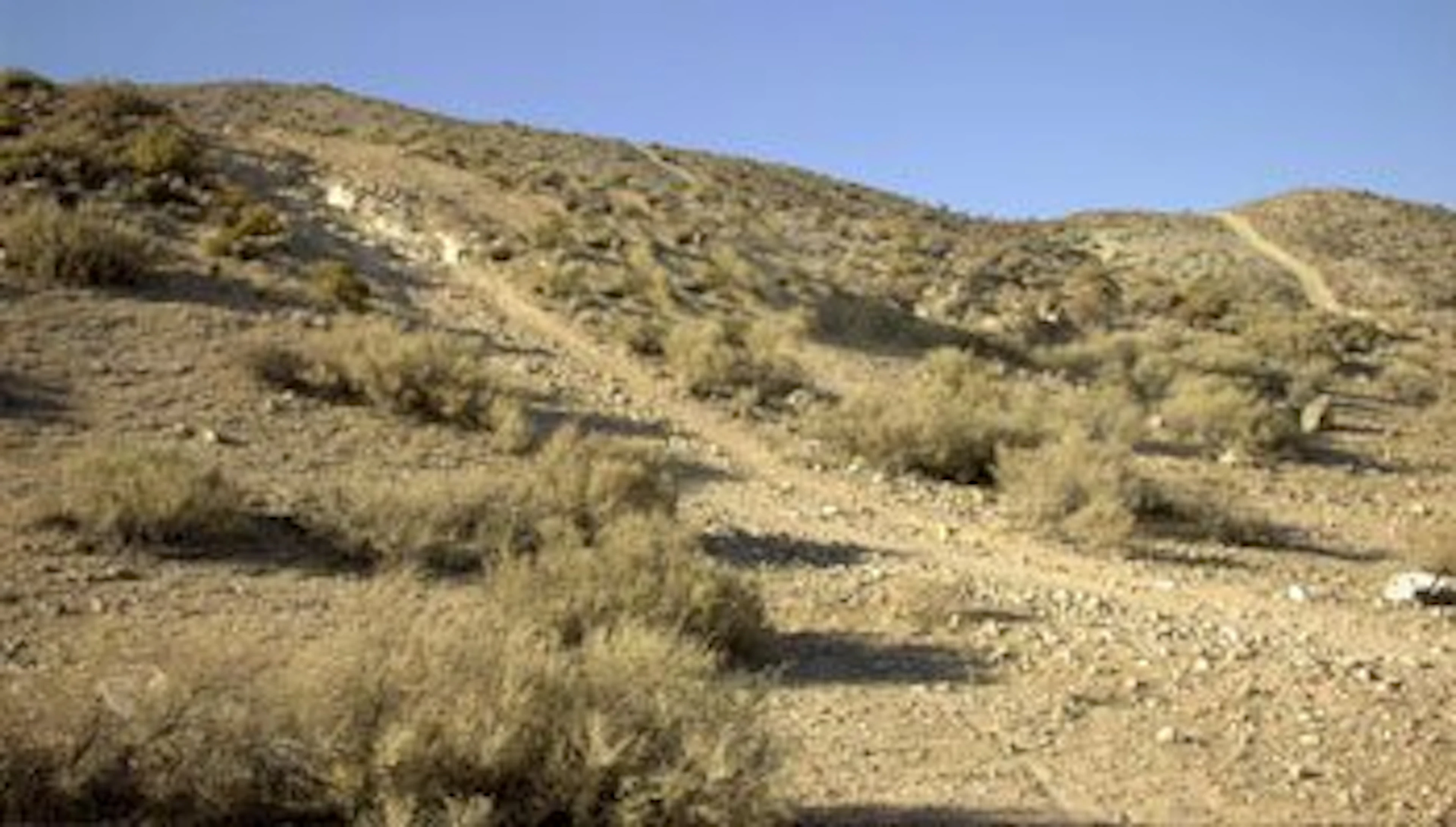 887: Modoc County, CA approx. 1 ac~$167/mo. AWESOME