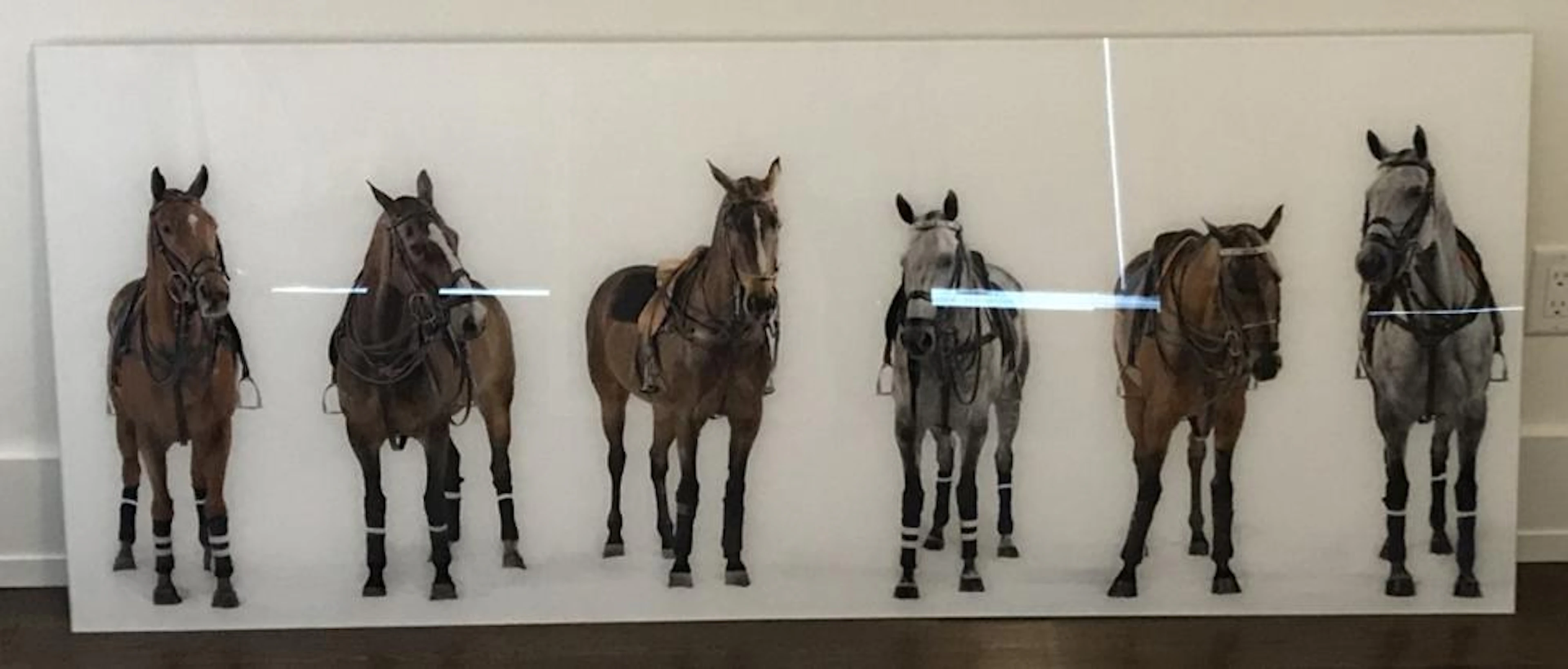 Contemporary Lucite Horse Photography Art