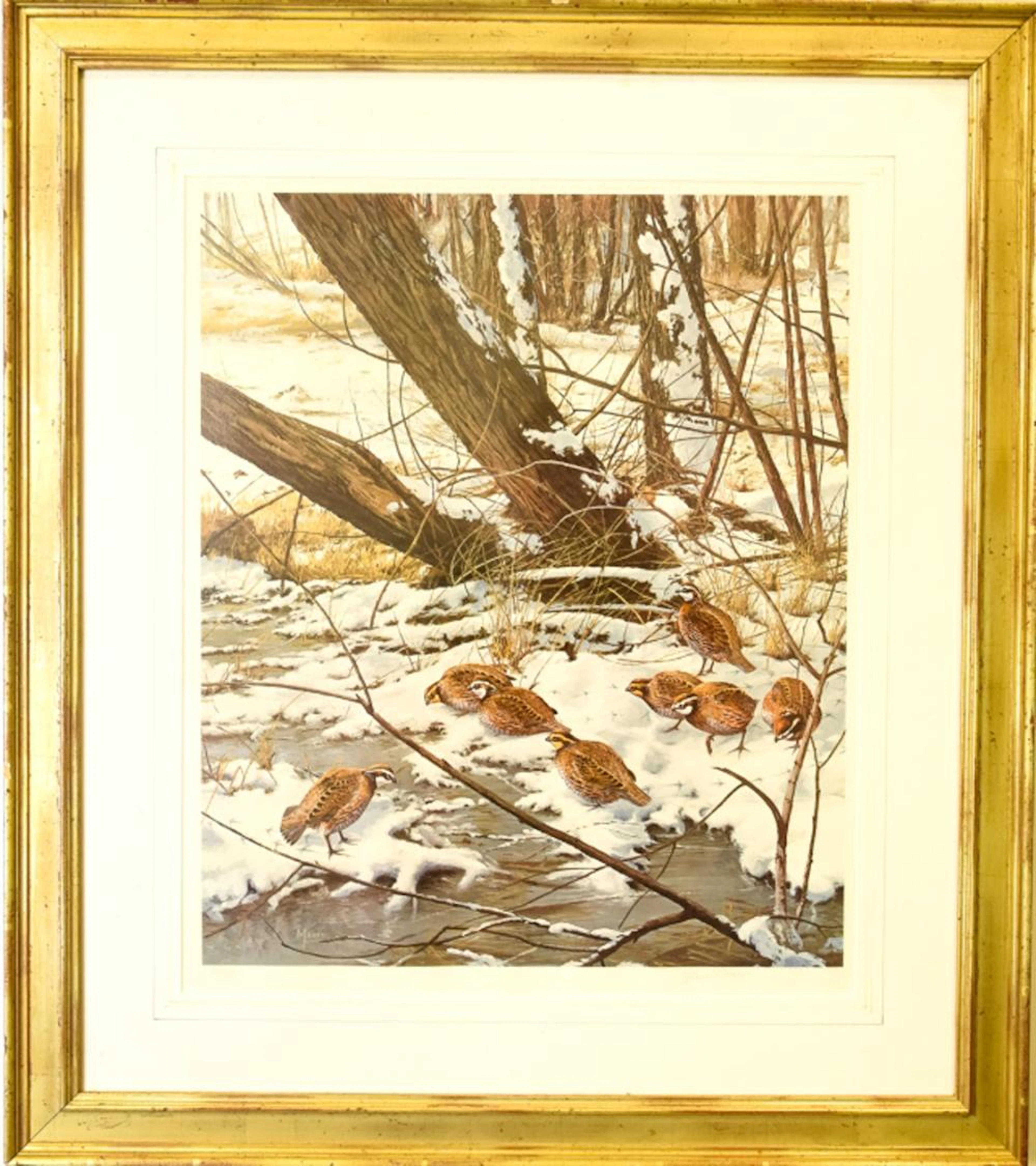 Maass Large Print Quail Birds in Snowy Landscape