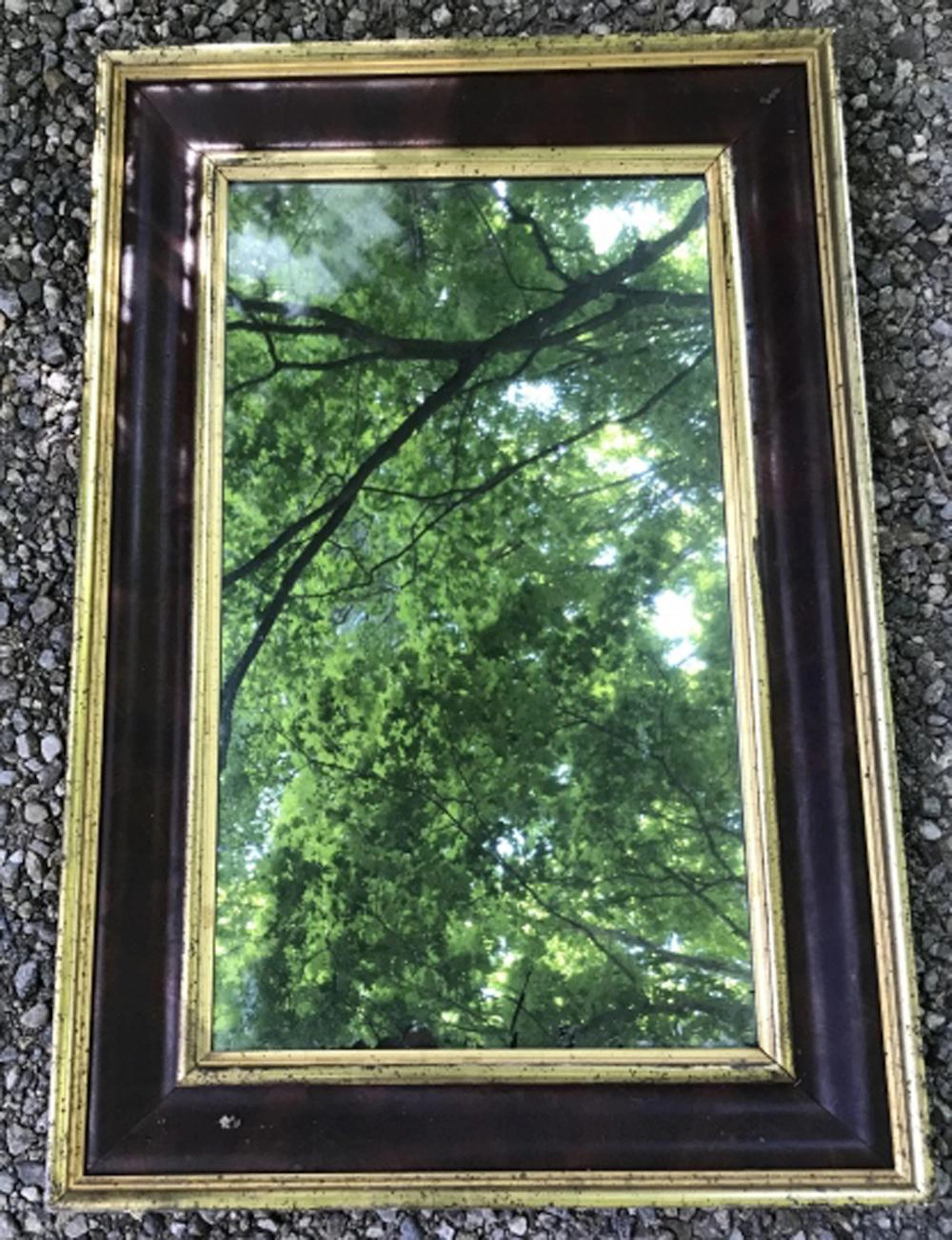 Antique 19th C Burl Wood & Gilt Decorated Mirror
