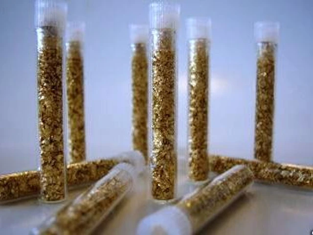 202C: (10) Gold Leaf Flakes in Vials- No Liquid- Non Bu