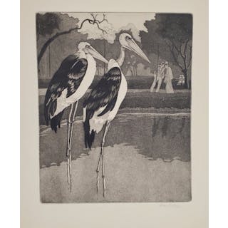 William Sharp Etching Aquatint Maribou Exotic Bird Lincoln Park Chicago AAA