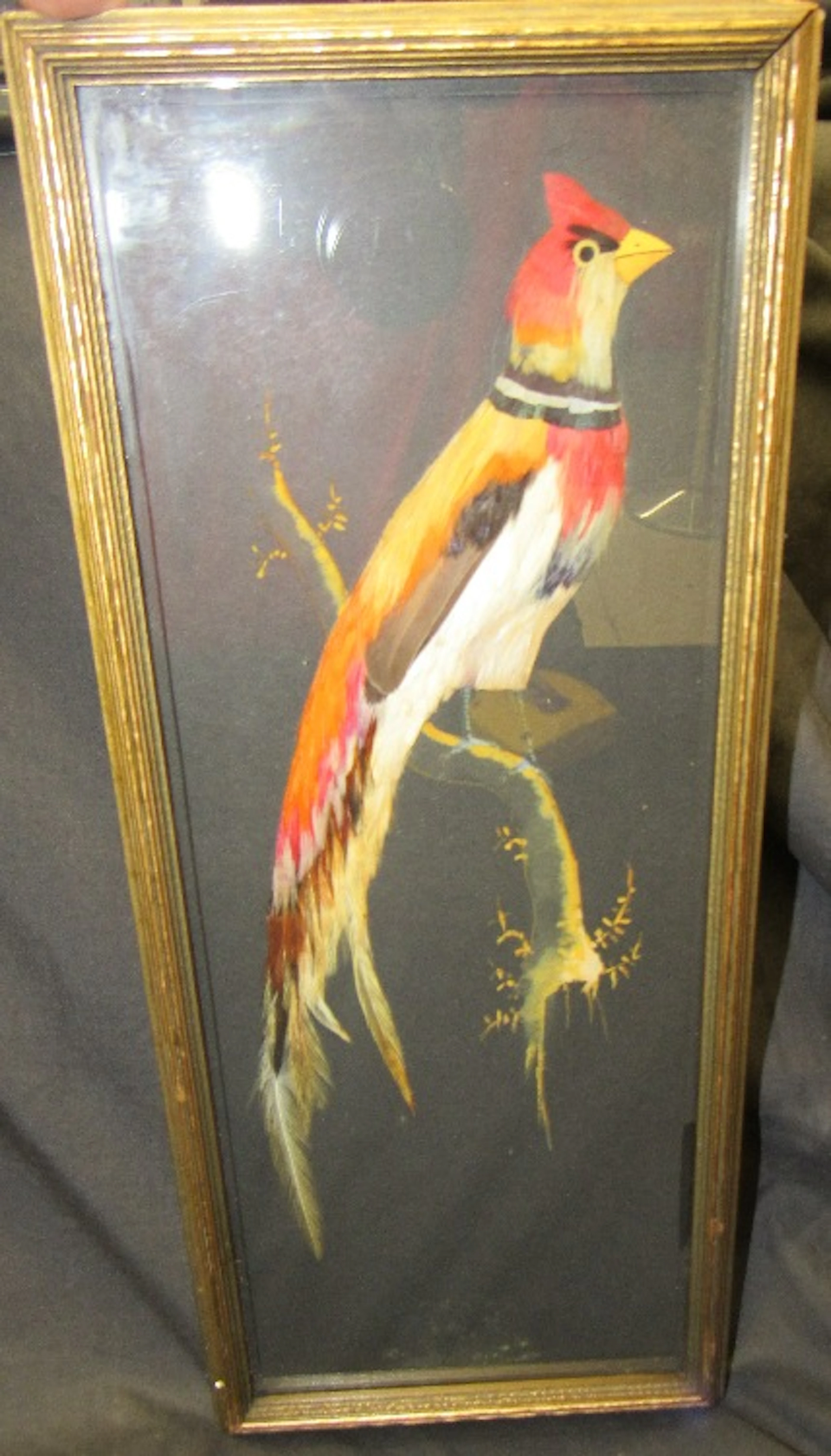 Vintage Mexican Feathercraft Bird Art Picture Made With Real Feathers