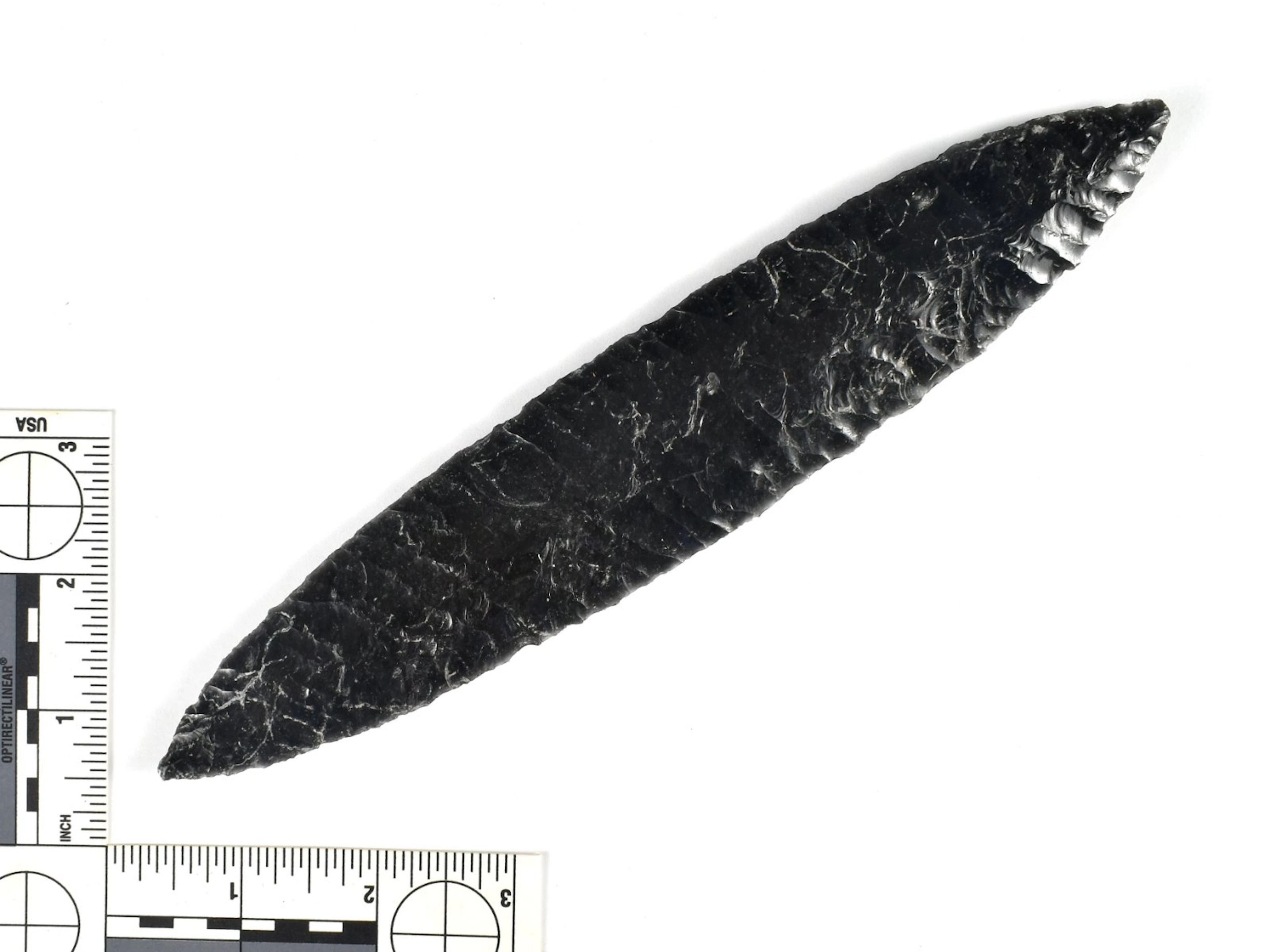 8 9/16" Colima Blade