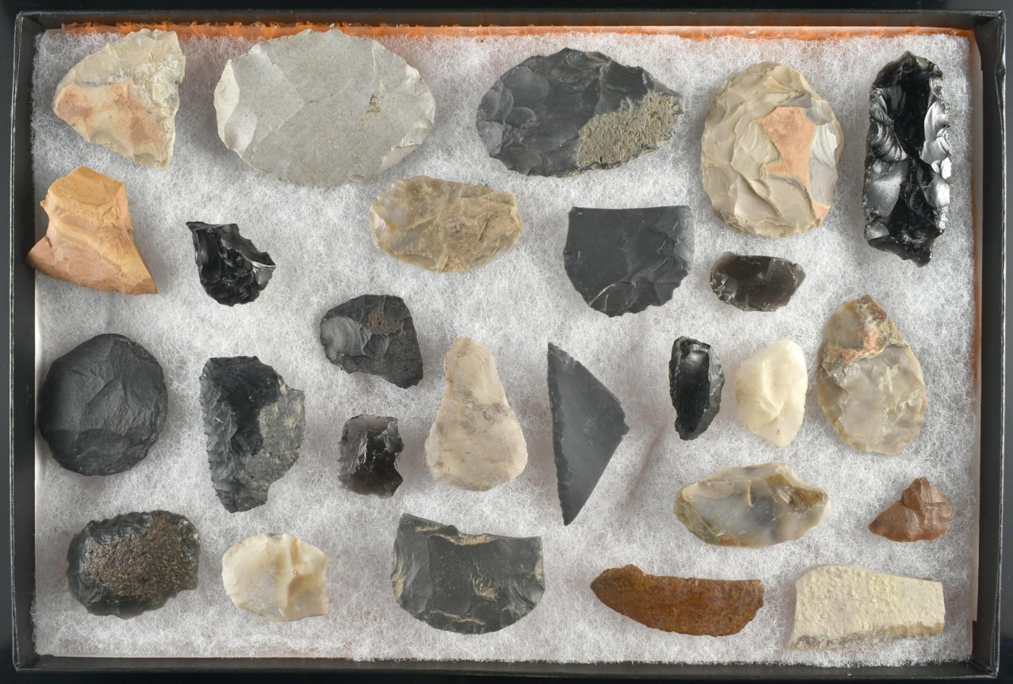 8x12 Display of Oregon Scrapers