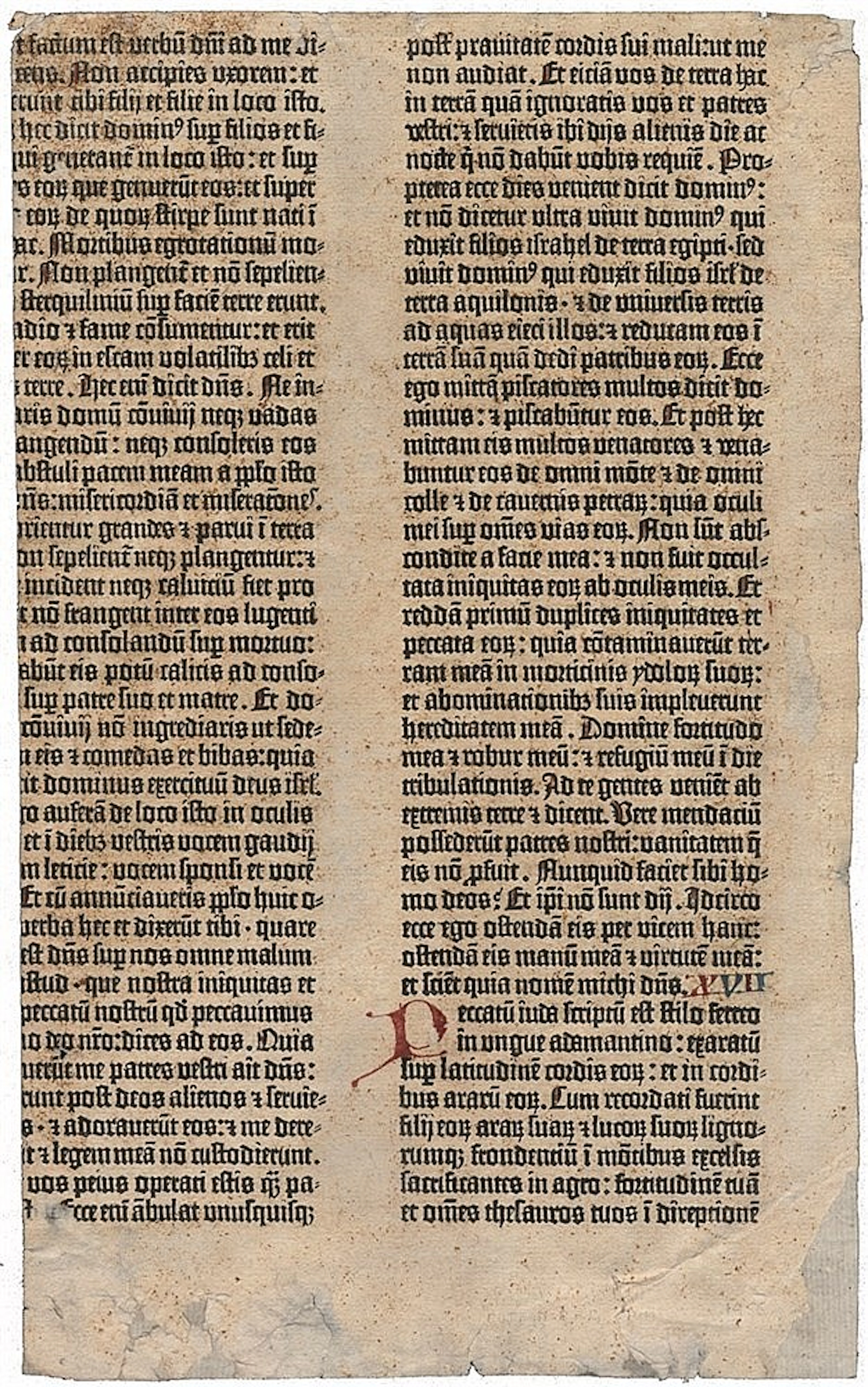 Biblia latina. Fragment eines Blattes aus der Gutenberg-Bibel. 2 Spalt