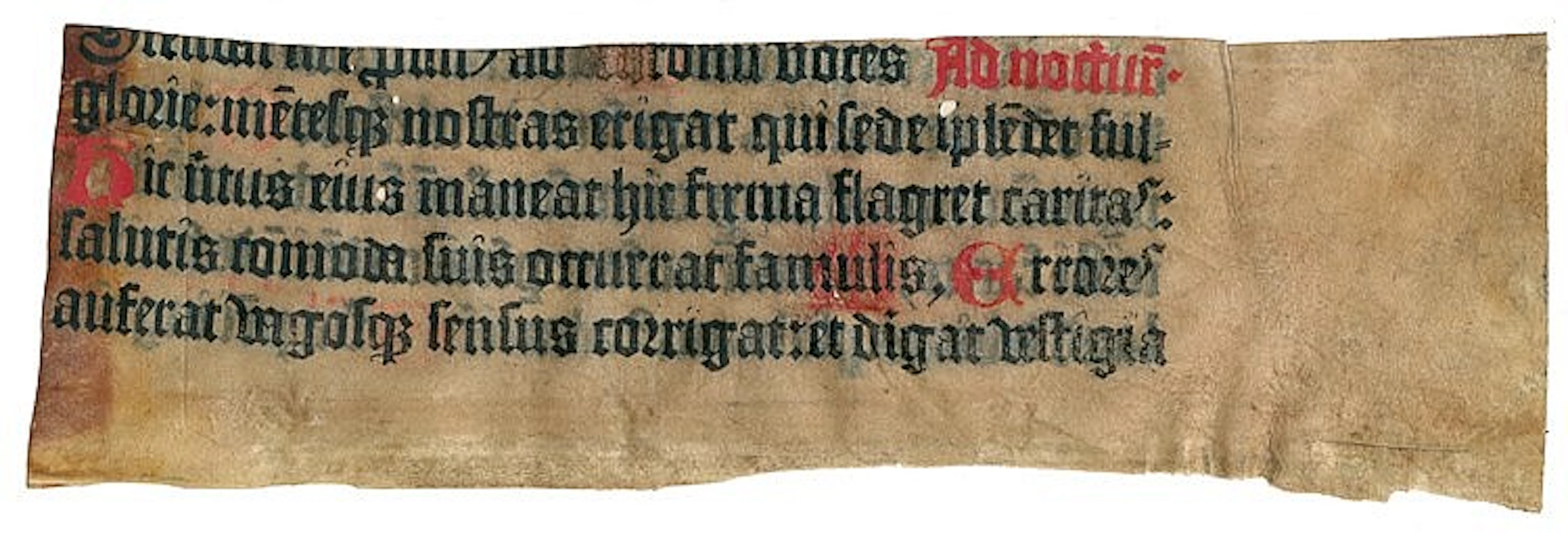Psalterium. Fragment eines Blattes aus dem Psalterium Benedictinum con
