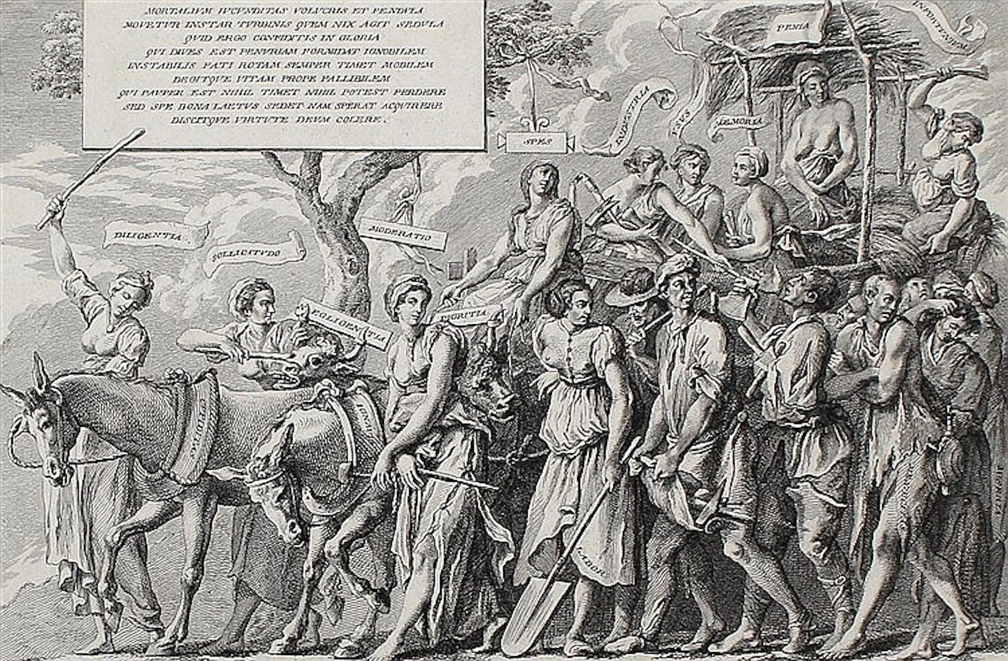Mechel, Christian von