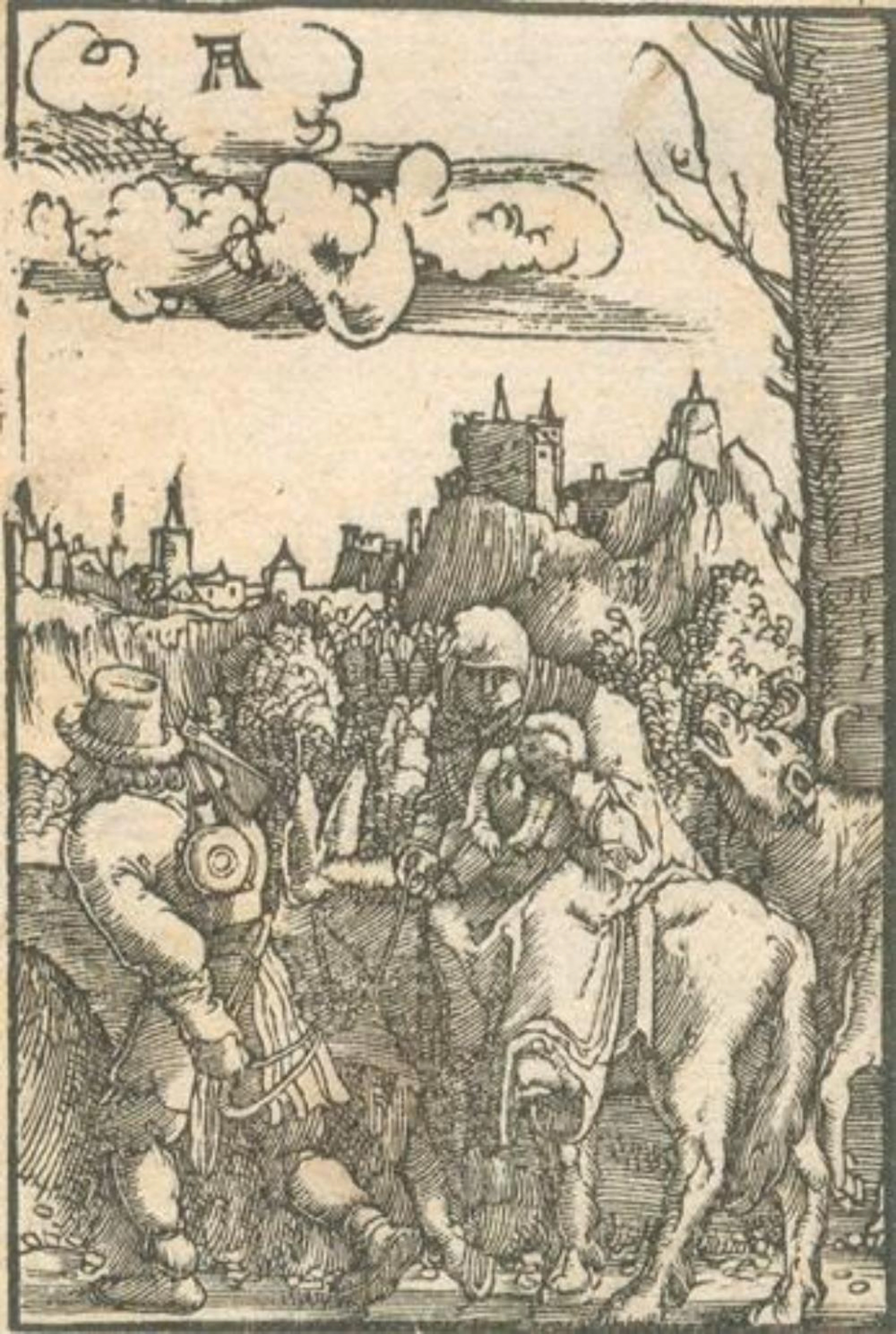 Altdorfer, Albrecht