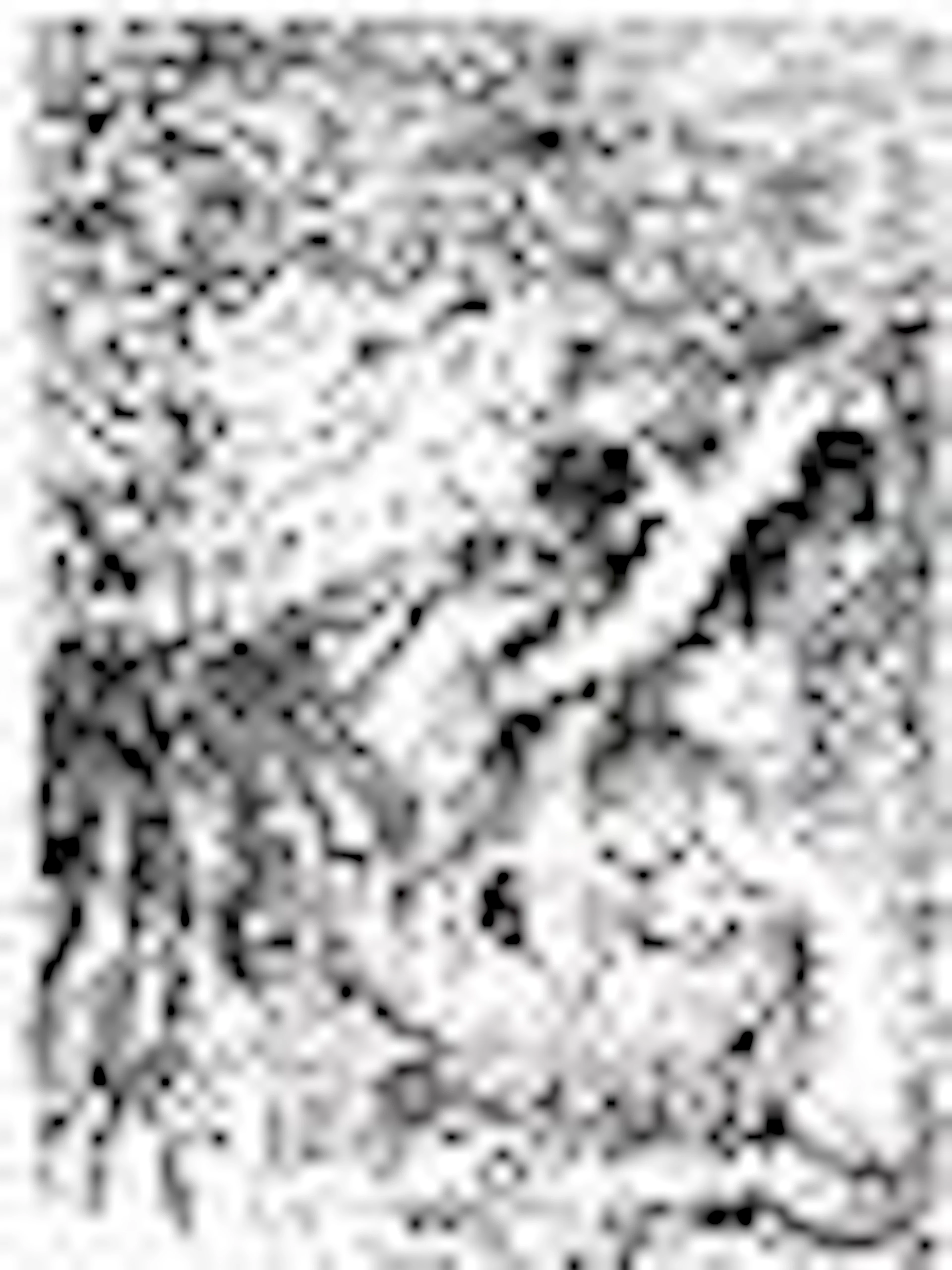 227: Renoir - Chapeau Epingle - Posthumous Etching (BA)