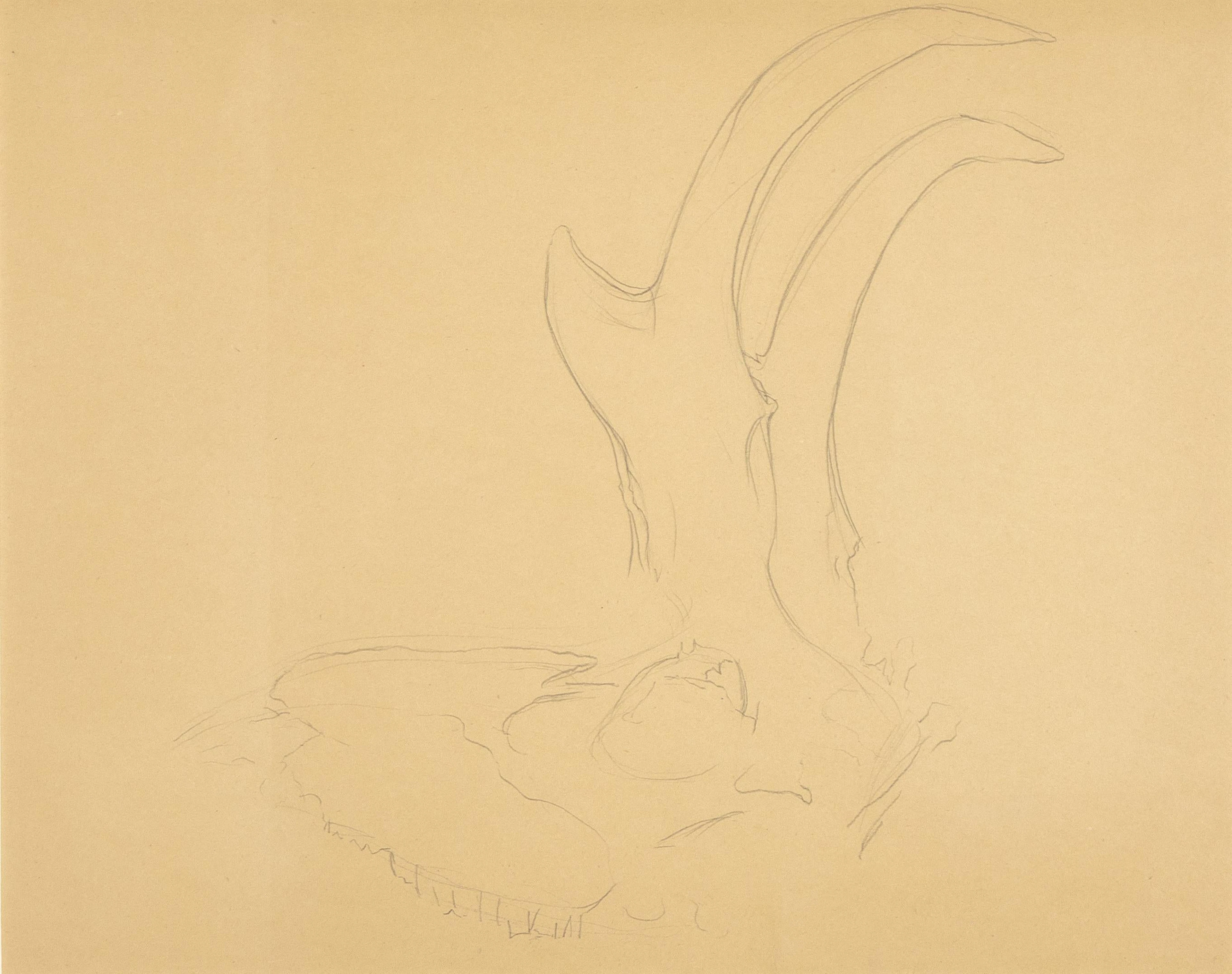 Georgia O'Keeffe, Untitled (Antelope Horns)