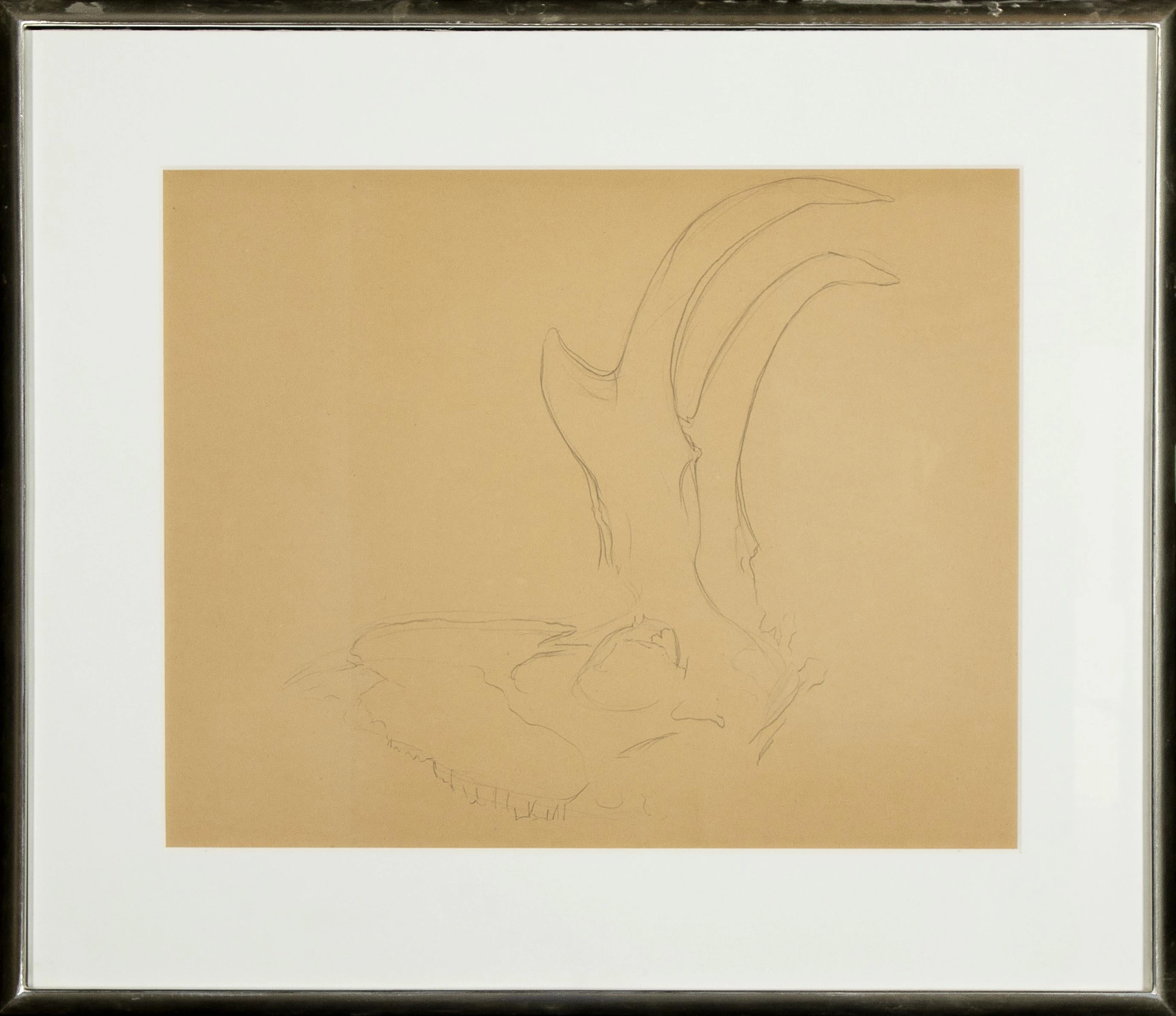 Georgia O'Keeffe, Untitled (Antelope Horns), ca. 1952
