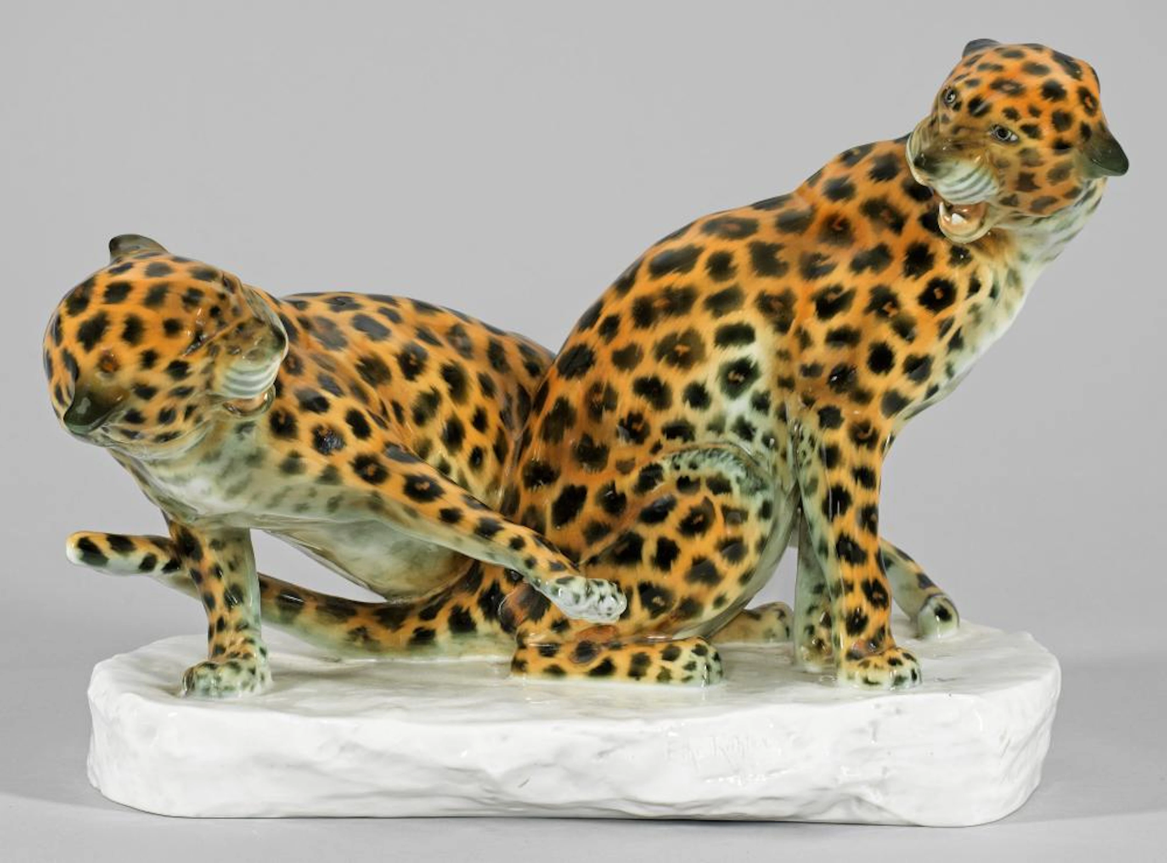 Leopardengruppe
